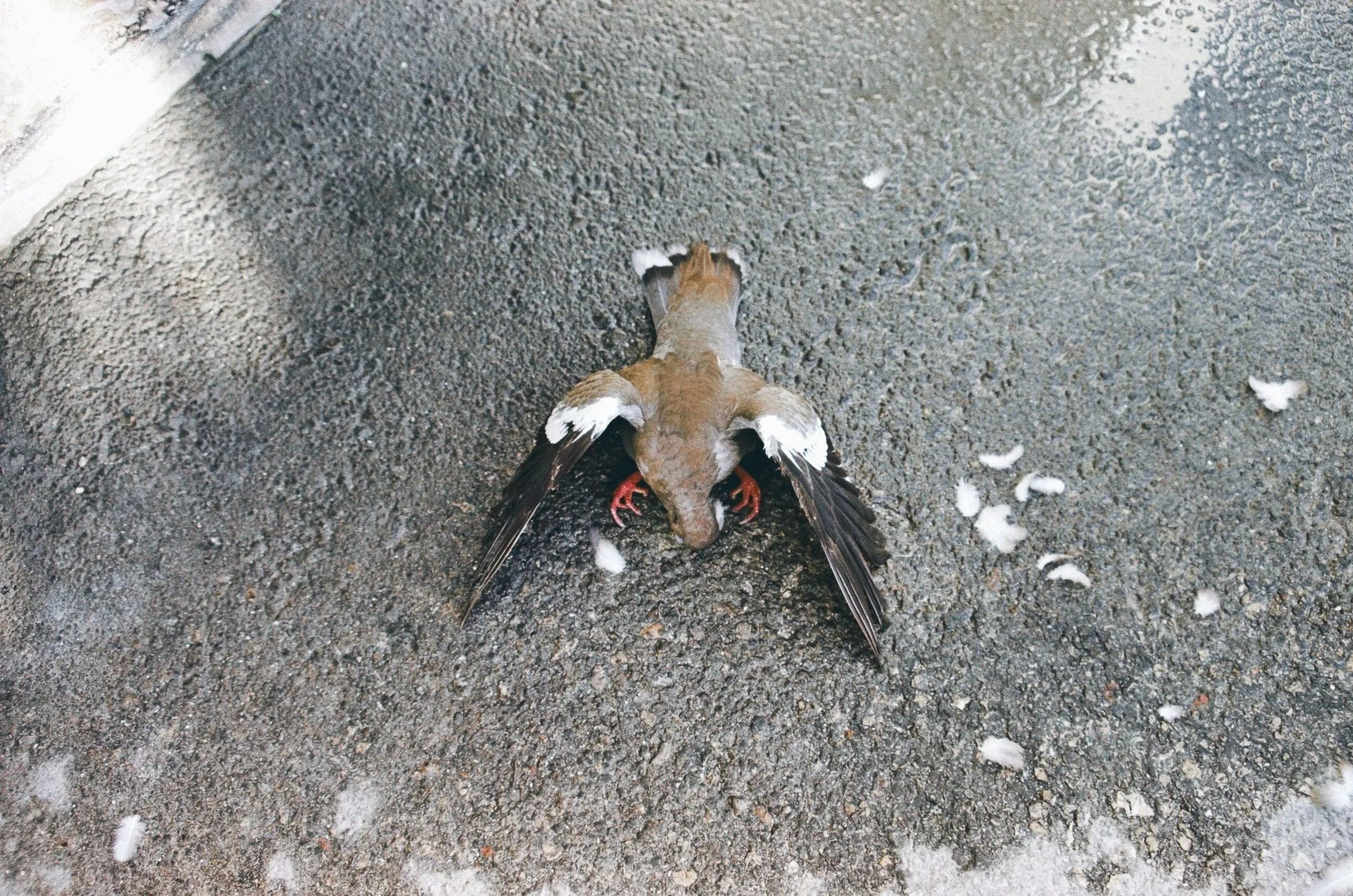 35mm