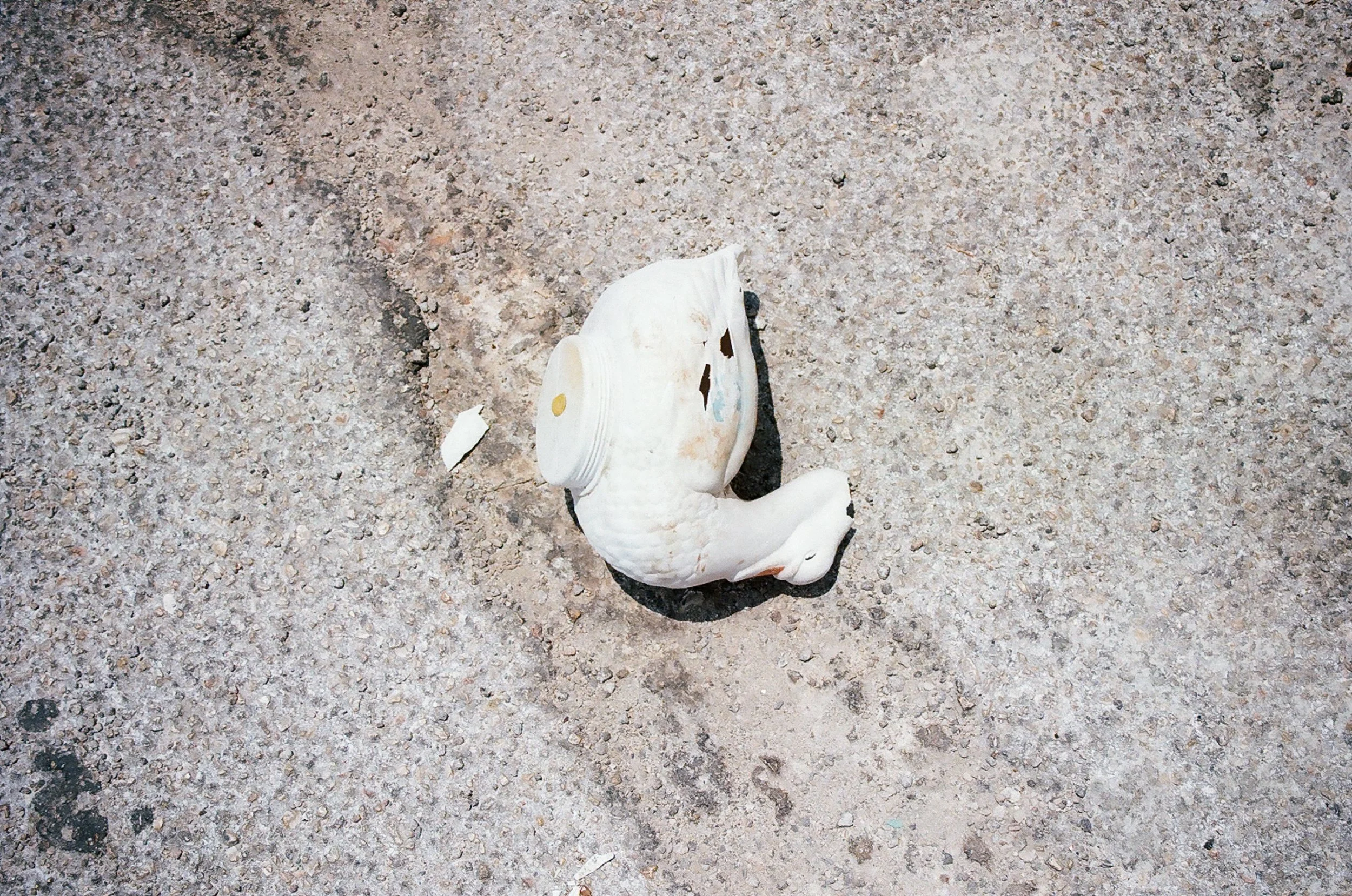 A broken white ceramic swan figurine lying on cracked, grey pavement; the neck is severed, and a hole in the back of the figure reveals its hollow interior. 35 mm color film.