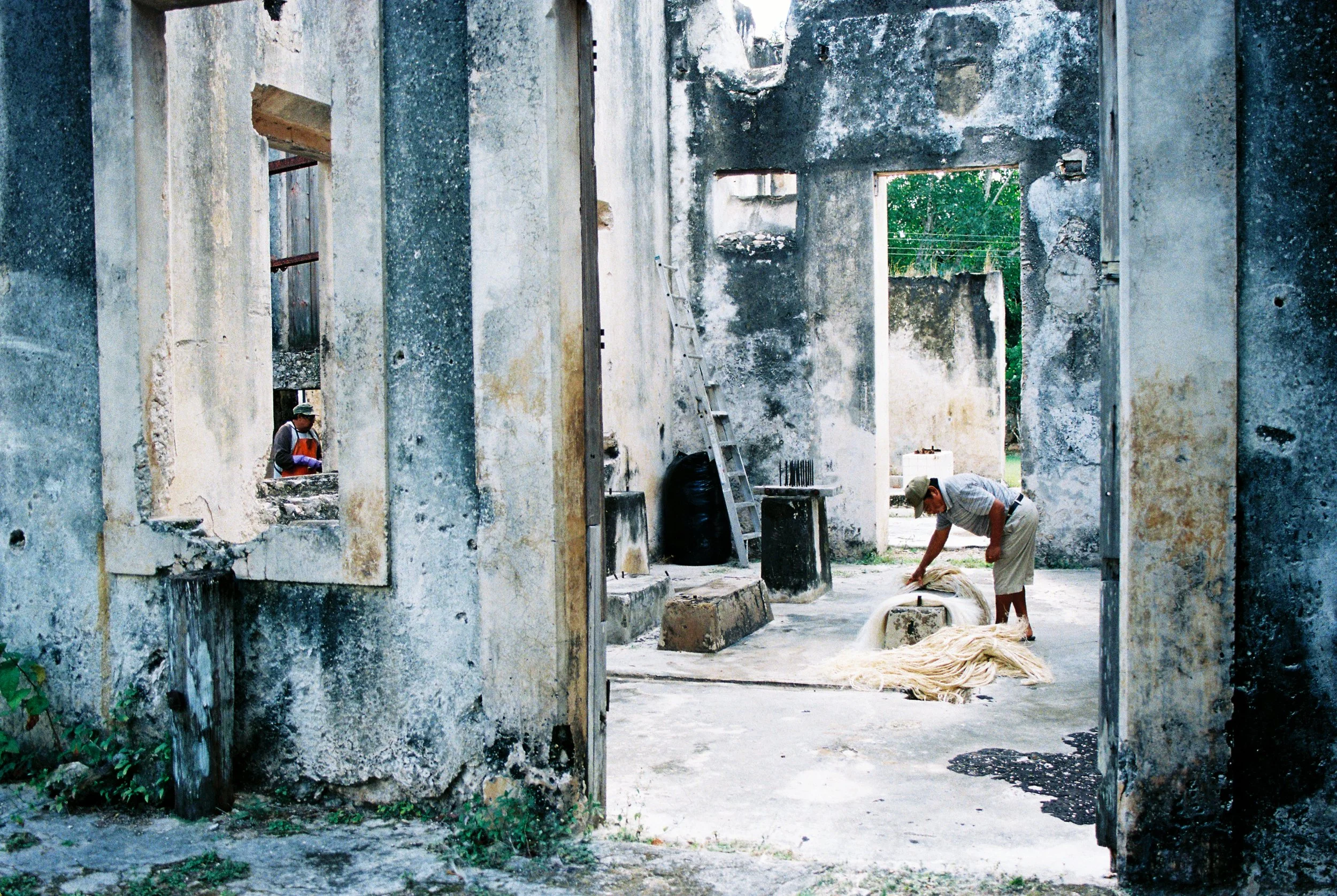 Interior of ruined stone walls with a wooden ladder, documenting structural decay in Mexico. 35 mm color film.