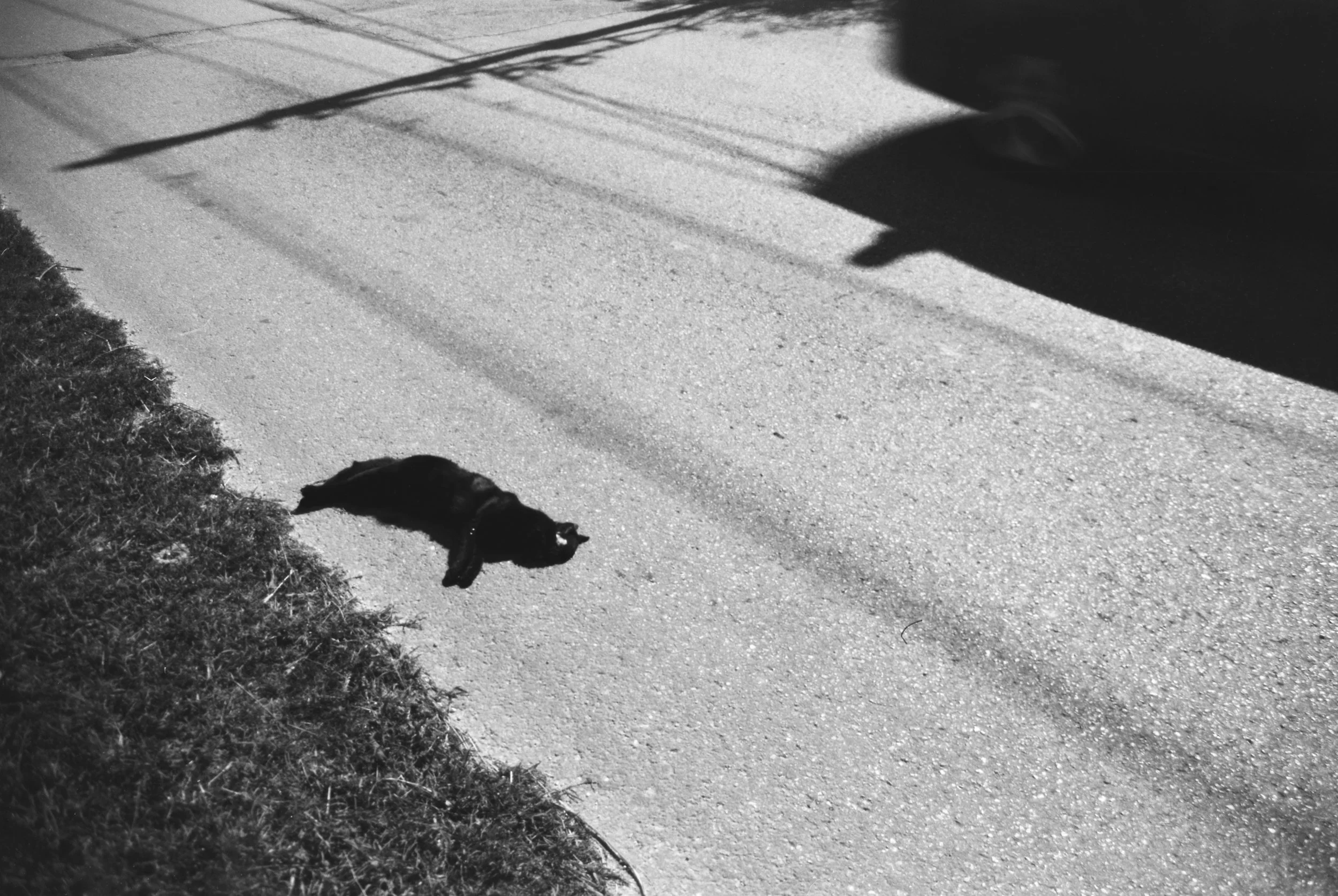 A high-contrast black and white photograph of a dead black cat lying on the shoulder of a road; a dark shadow of a passing vehicle or structure is cast over the asphalt in the background. 35 mm black and white film.