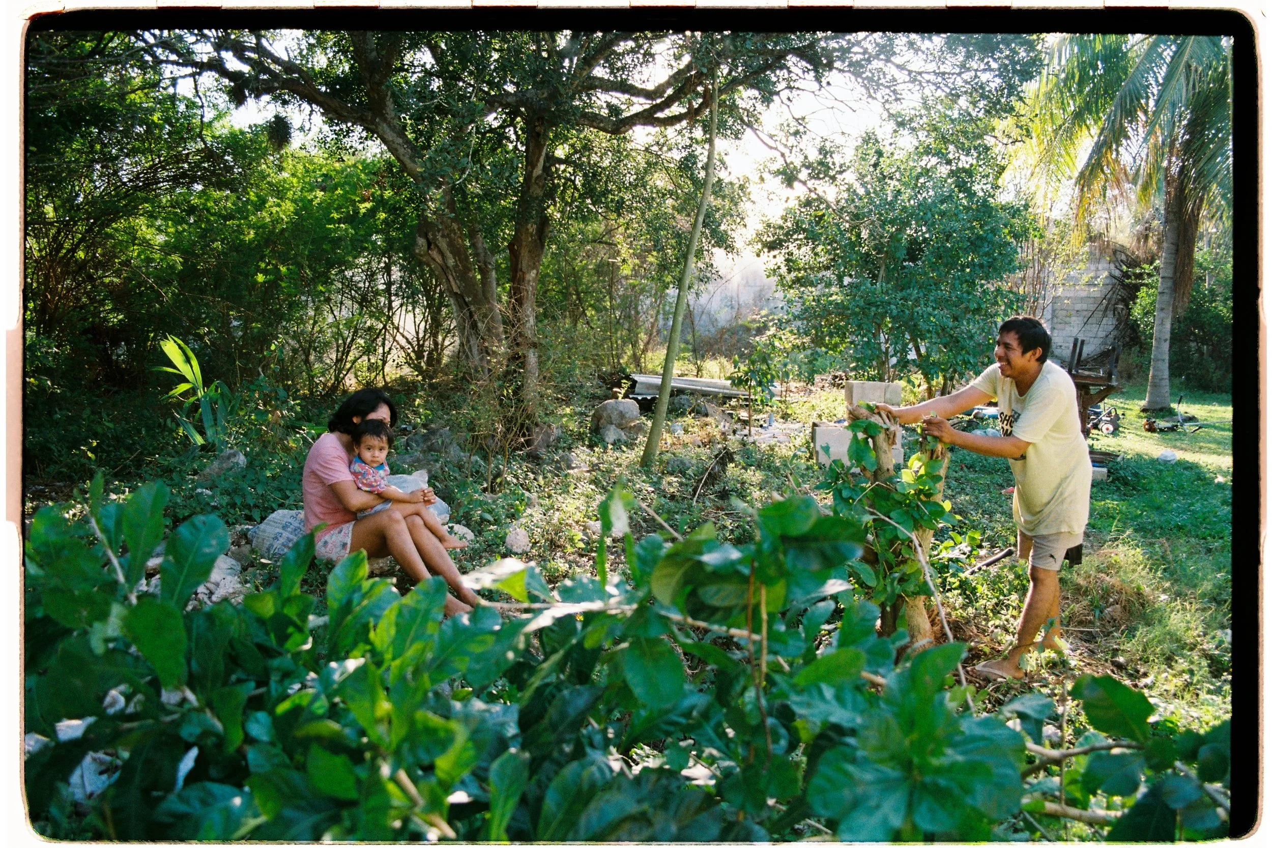 Family sitting in a rural backyard with dense vegetation and filtered sunlight, Mexican domestic life. 35 mm color film.