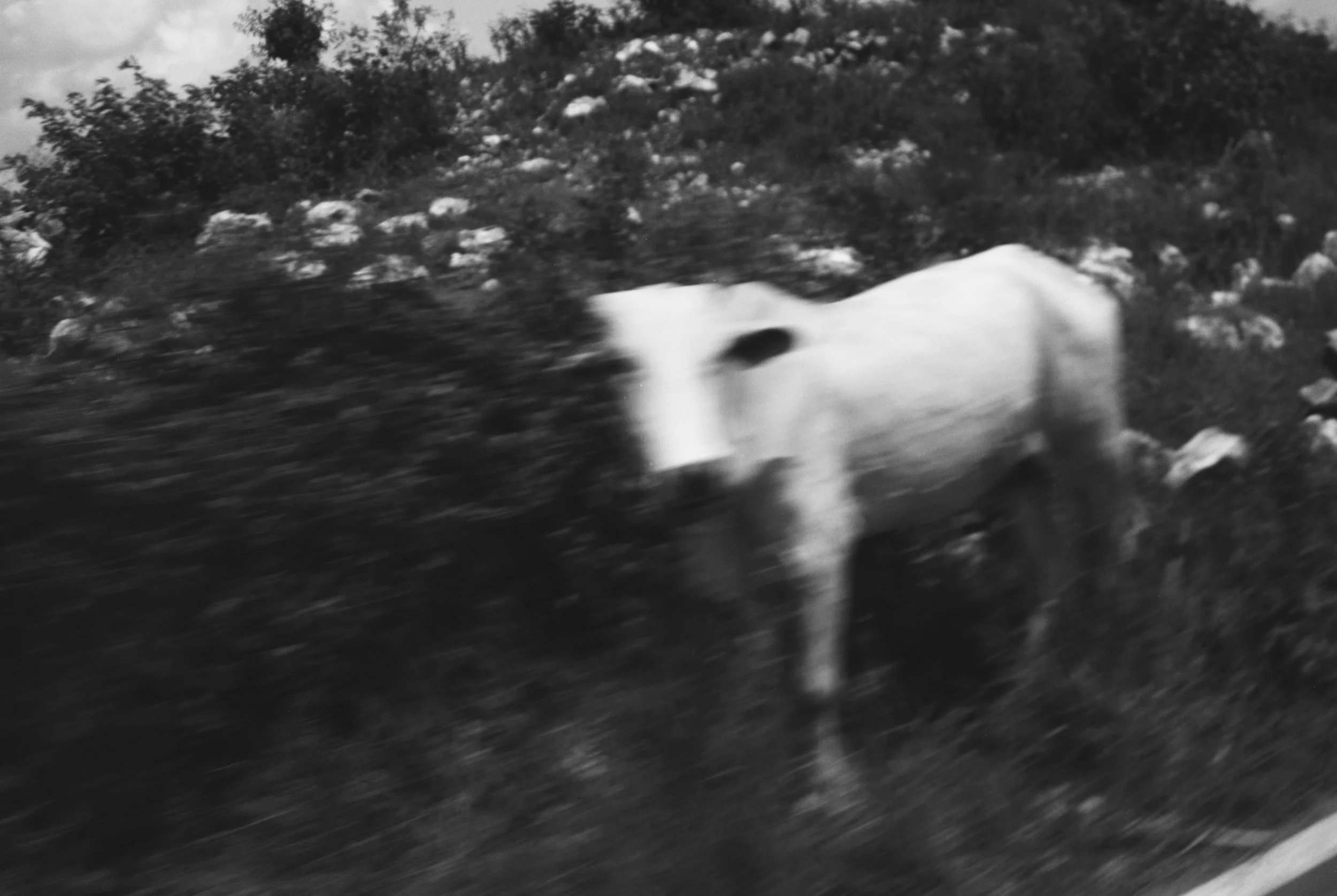 Santiago_Alovar-118.jpg