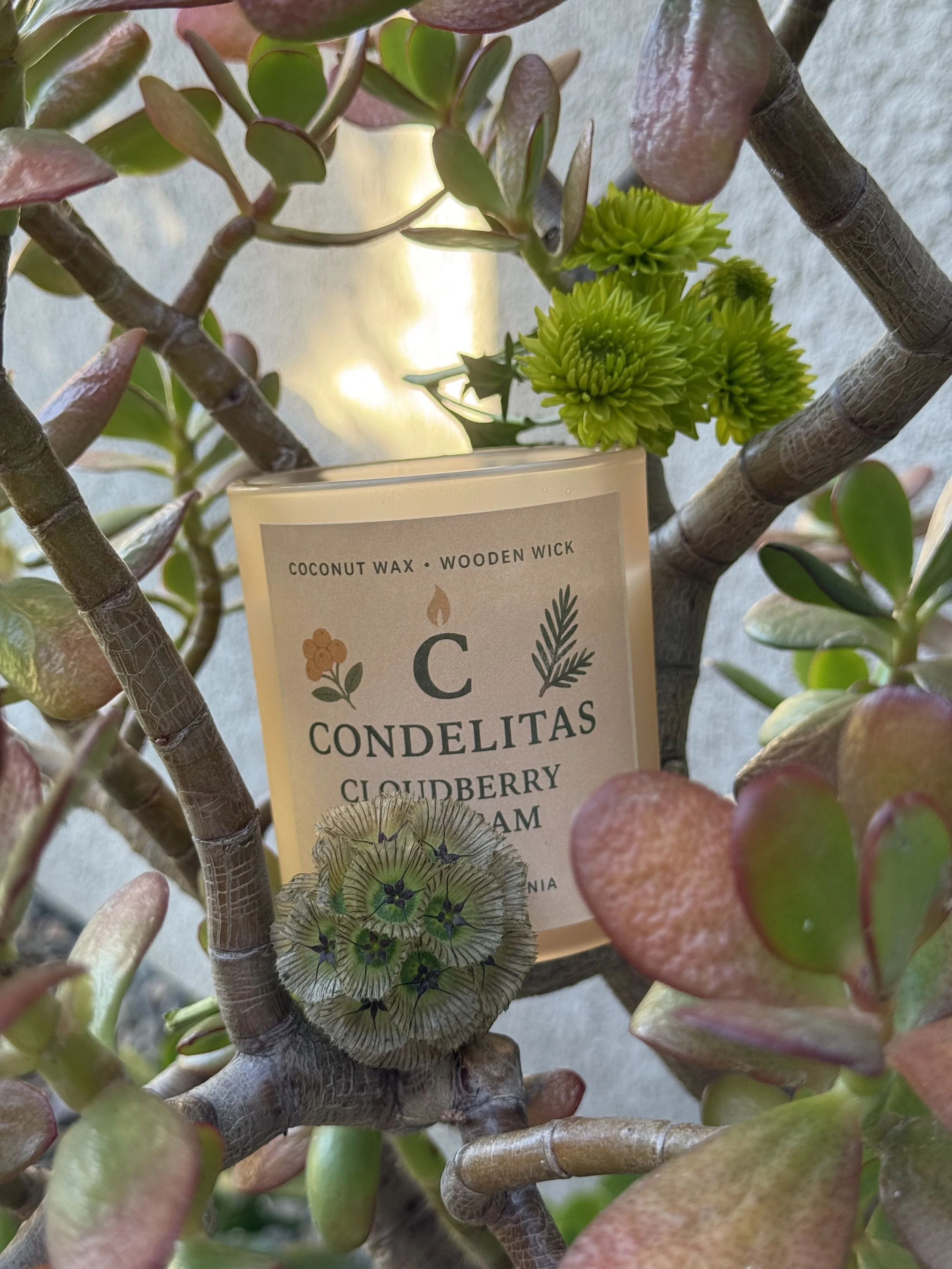 CLOUDBERRY & BALSAM