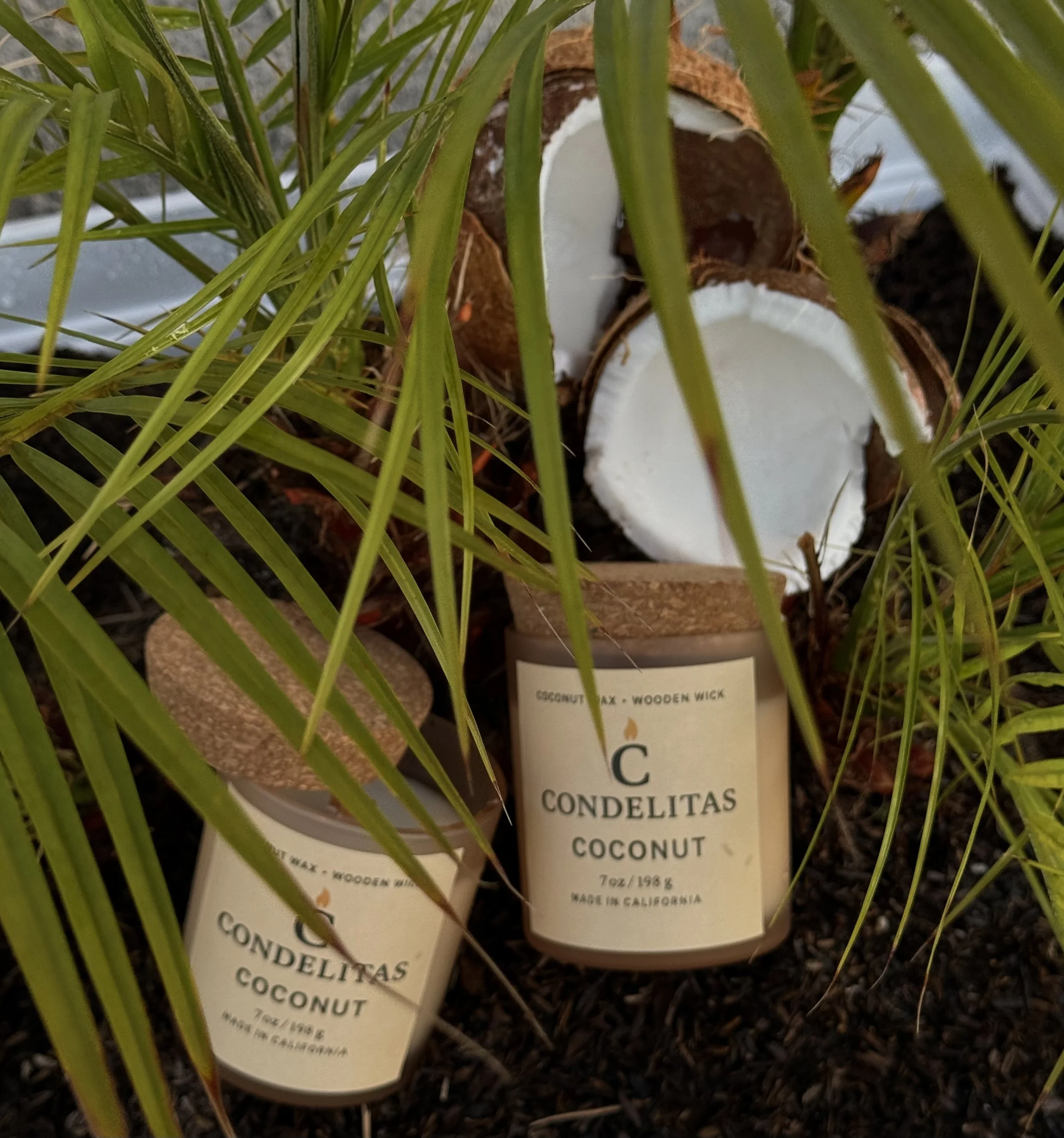 COCONUT