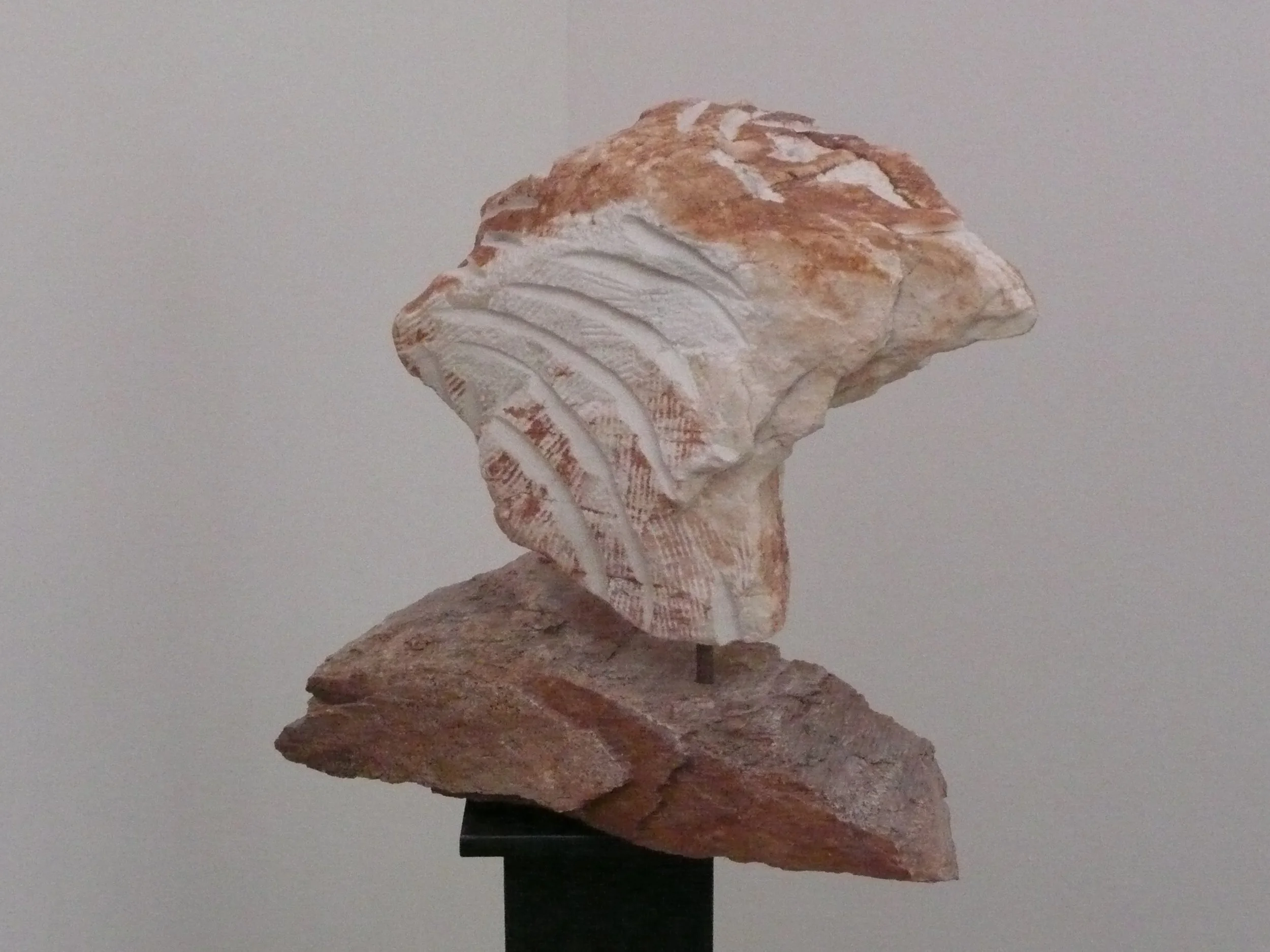 P1010901 gegenüberstellen.JPG