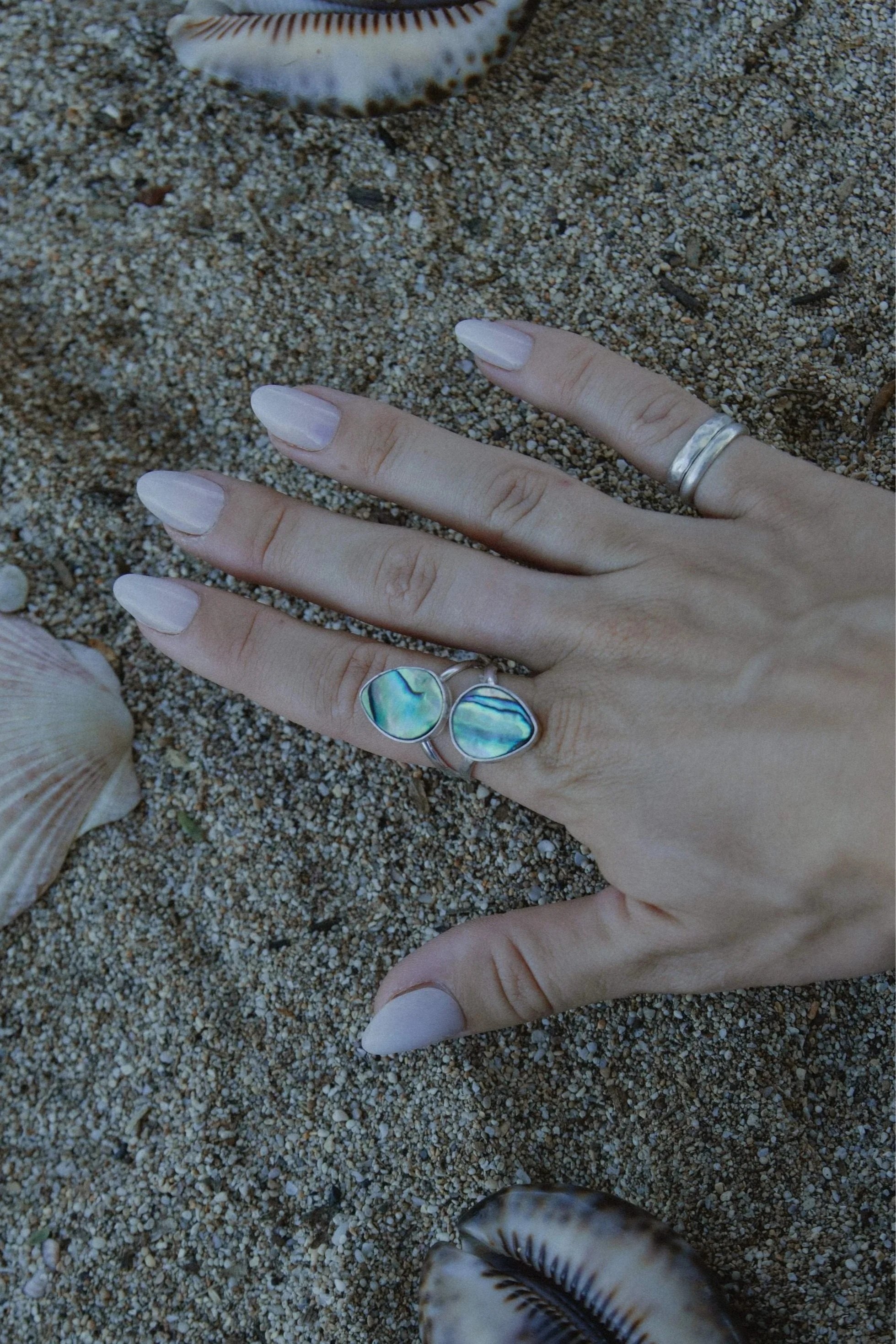 Double Abalone