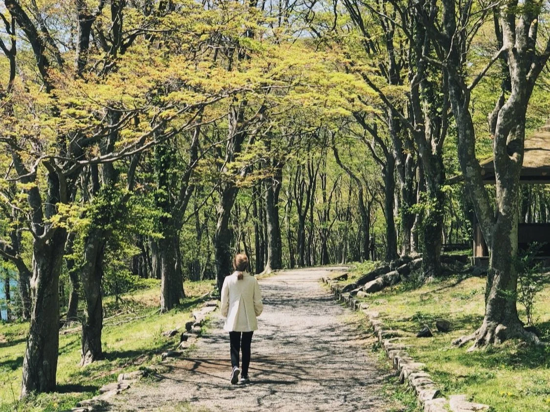 A Soul Connection That Opened My Path Within