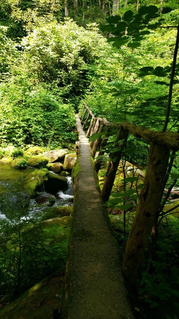 A narrow wooden bridge crossing over a forest stream with lush green trees and moss-covered rocks.