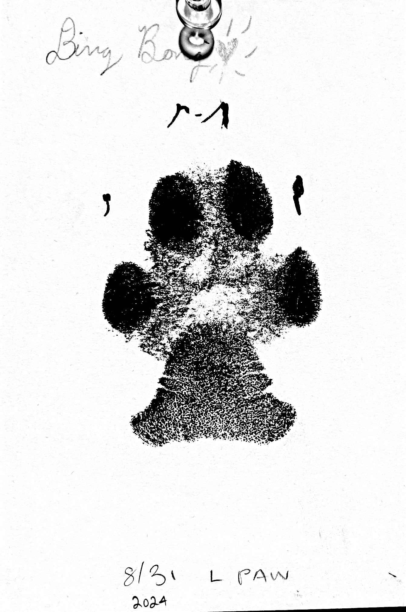 A black and white paw print taken a few months before losing my dog, DJ.