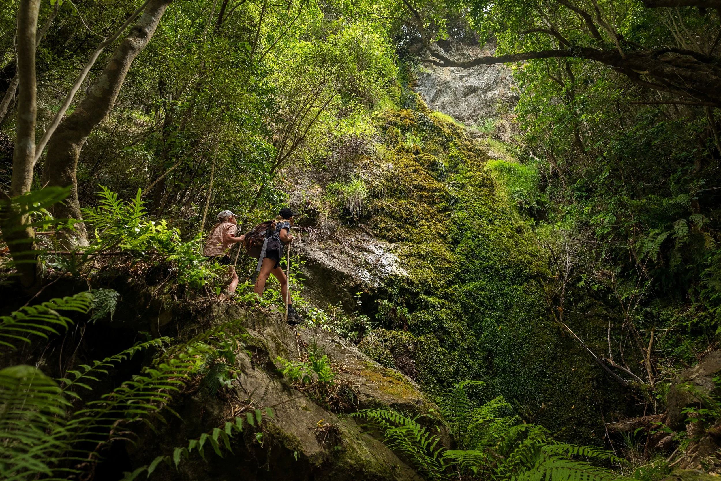 em an zo moss falls compress.jpg