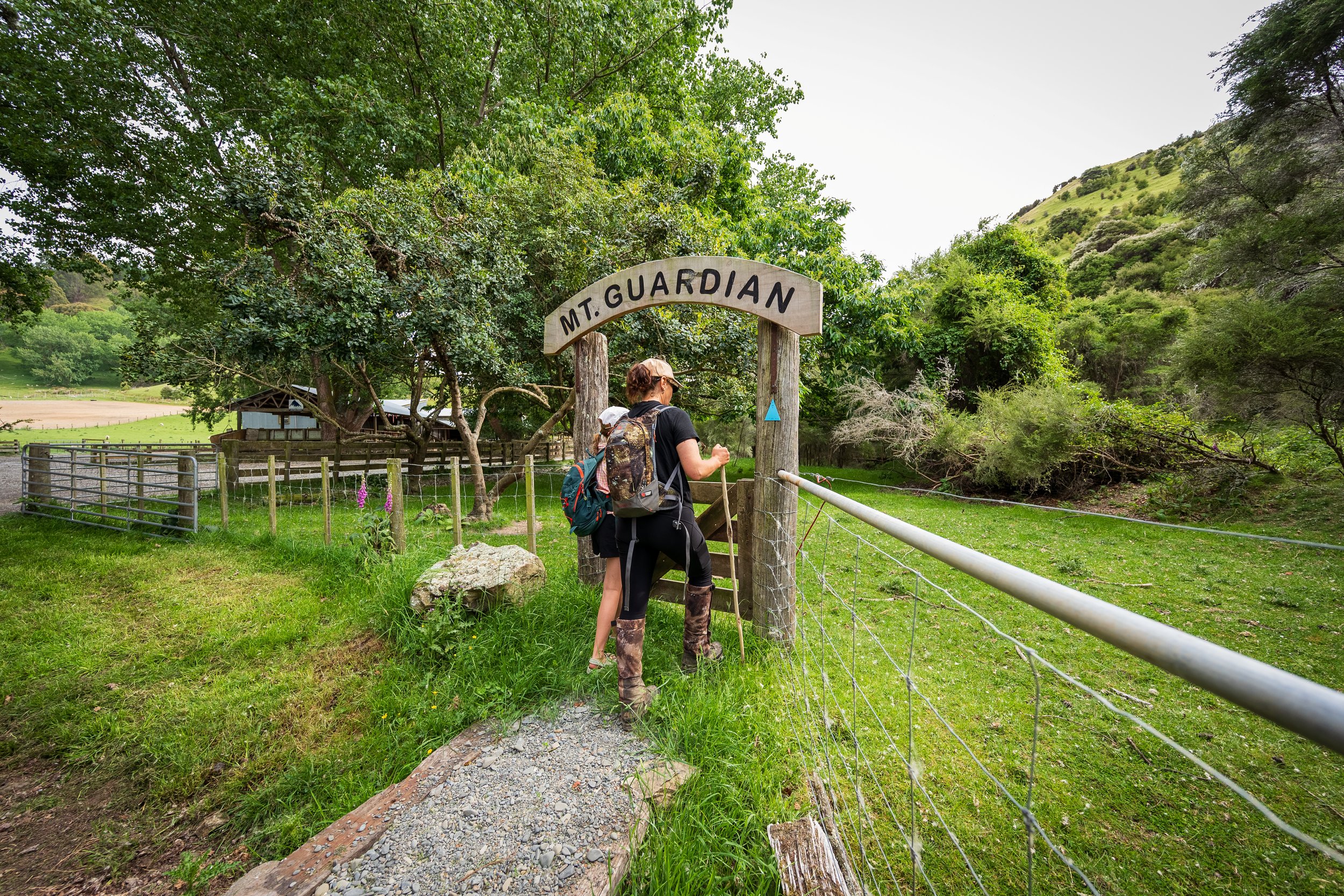 mt guardian sign compress.jpg
