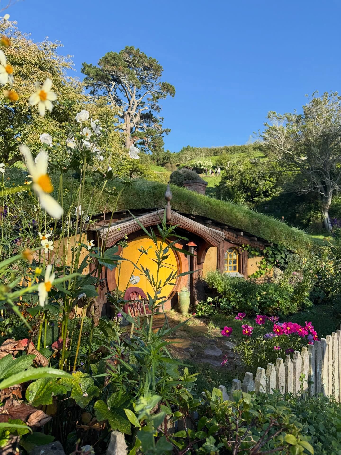 Time for a New Zealand recap!

Starting with the North Island and of course Hobbiton which was wholesome, inspiring and fun!

Then Putāruru Blue Springs, Huka Falls, Craters of the Moon. There are so many natural wonders. It was really beautiful ☺️

