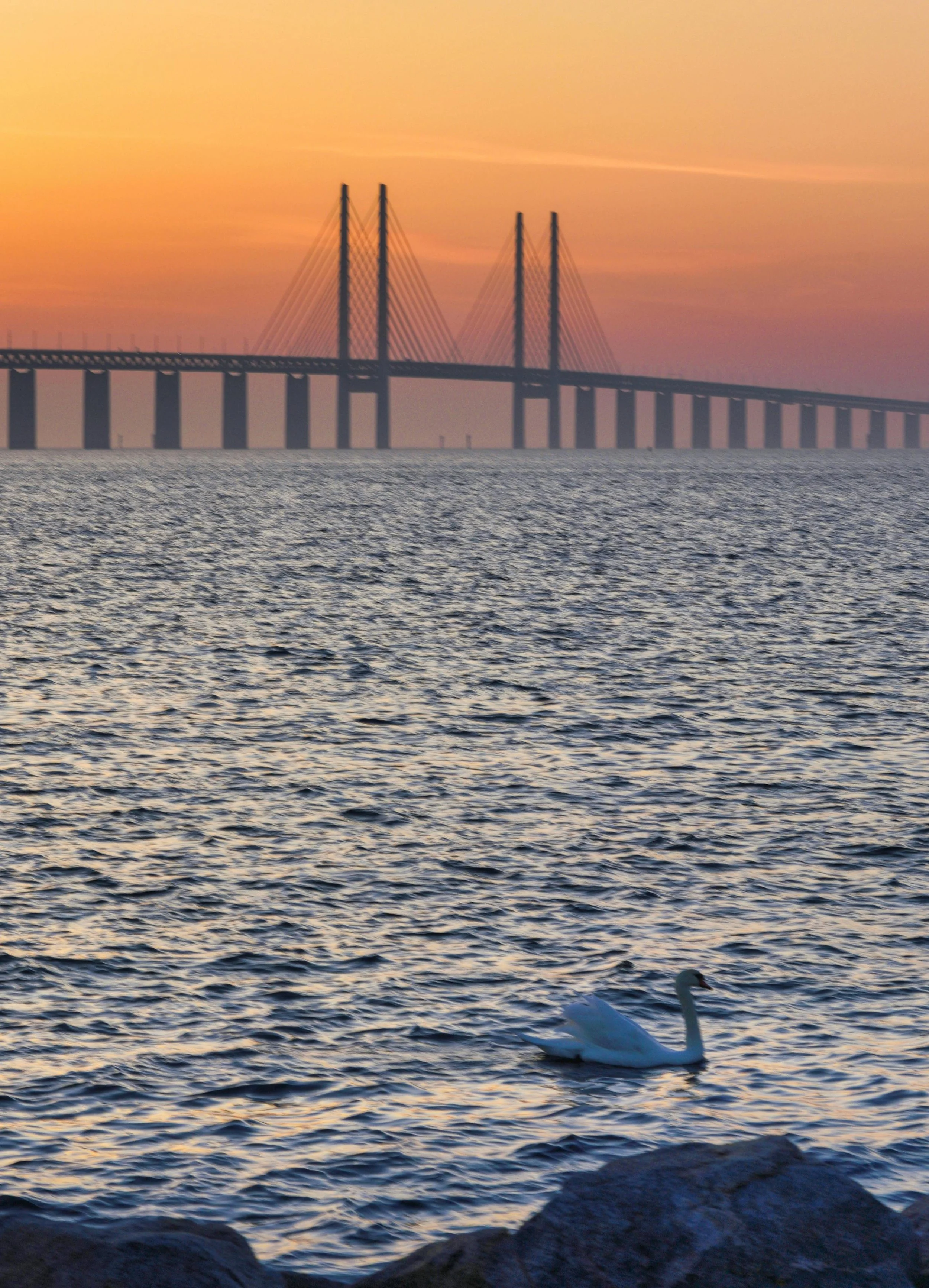 Luxury Mercedes van driving across the Øresund Bridge on a private transfer from Copenhagen to Malmö