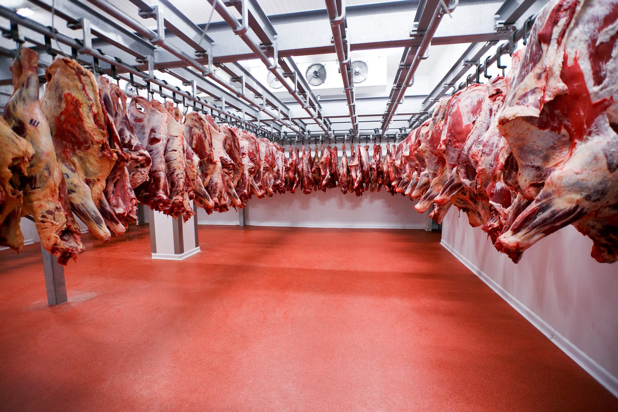 Meat Cool Room.jpg