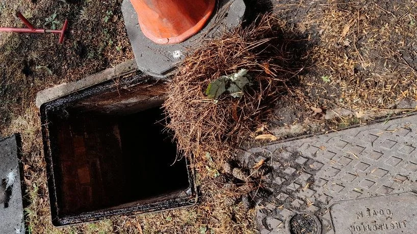 Root removal is in progress to restore flow to the drainage system.