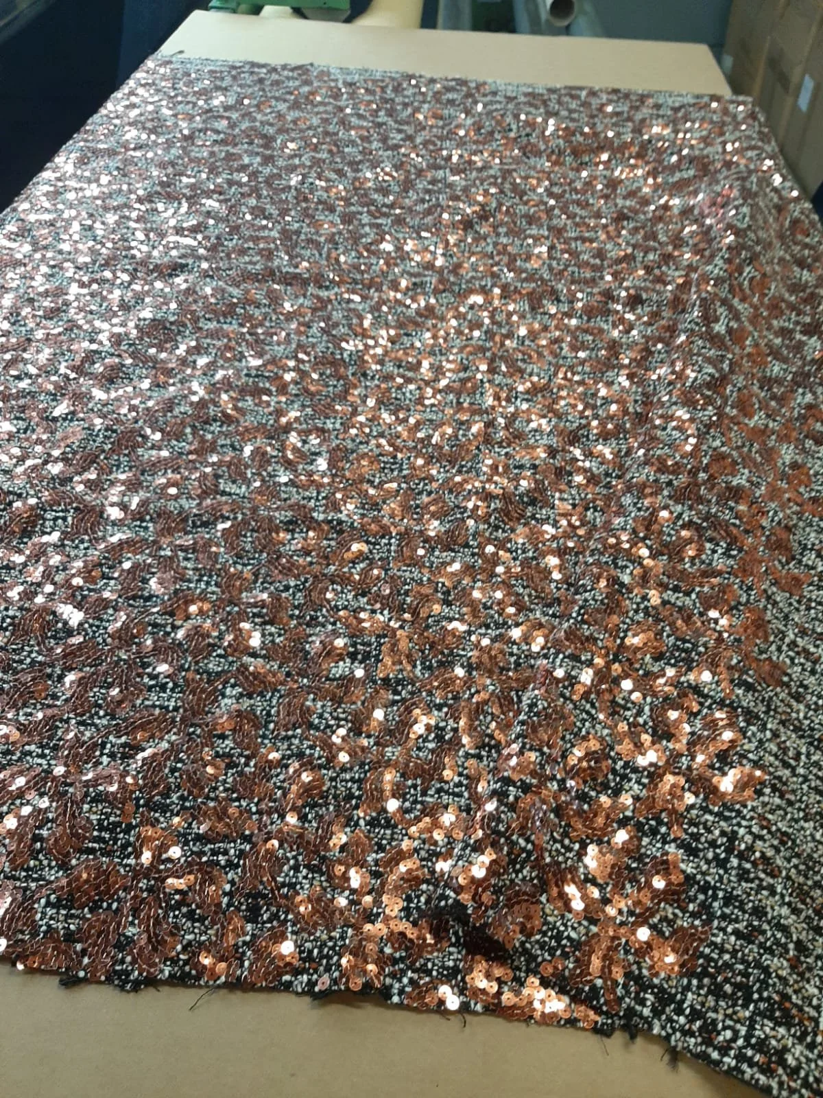 WhatsApp Image 2025-08-08 at 12.29.46.jpeg