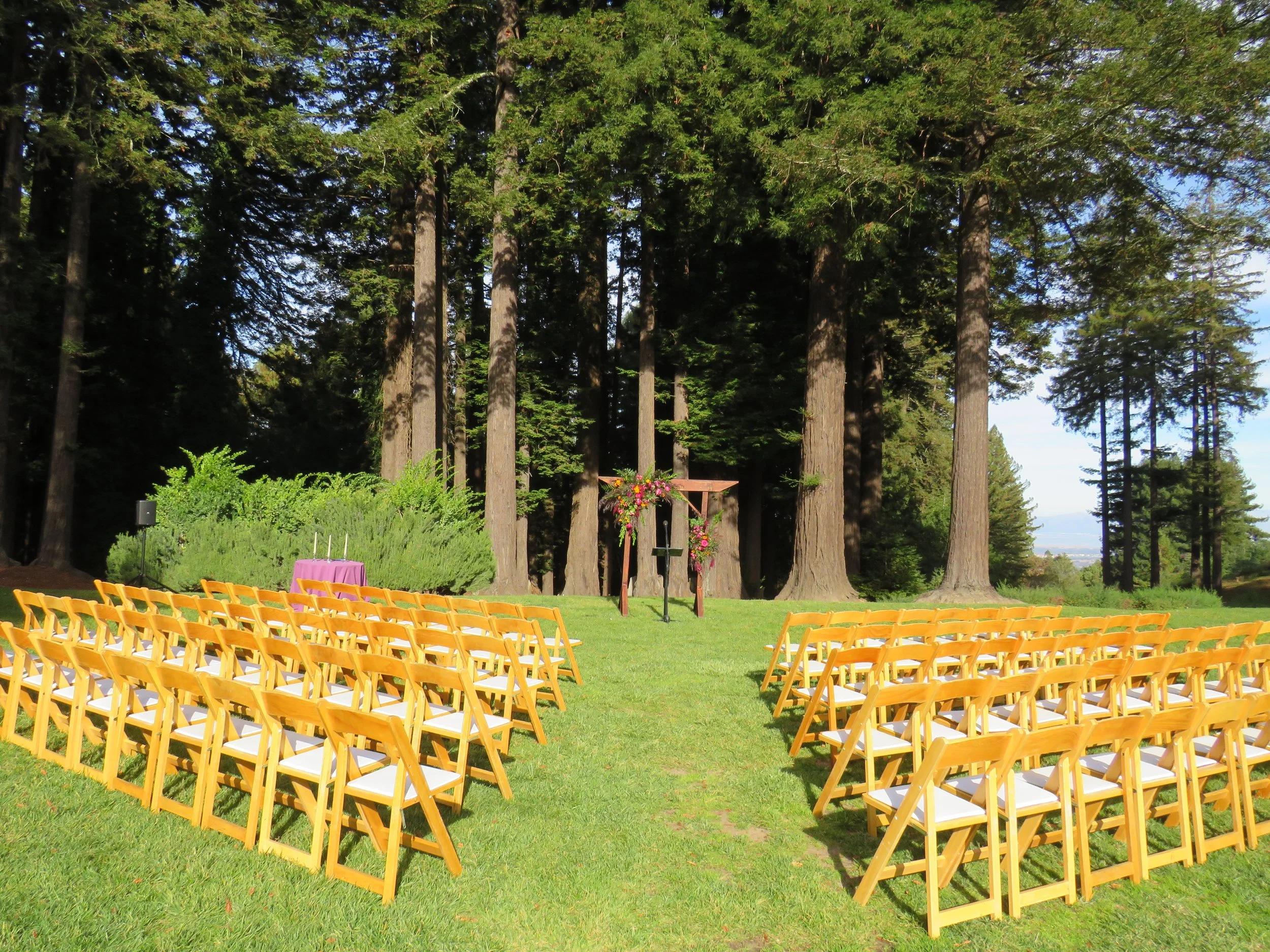 Image of the lawn and redwood trees at venue The Mountain Terrace