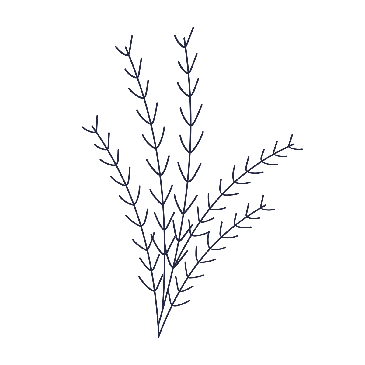 Floral organic image for Kelly Horne school of massage and aromatherapy