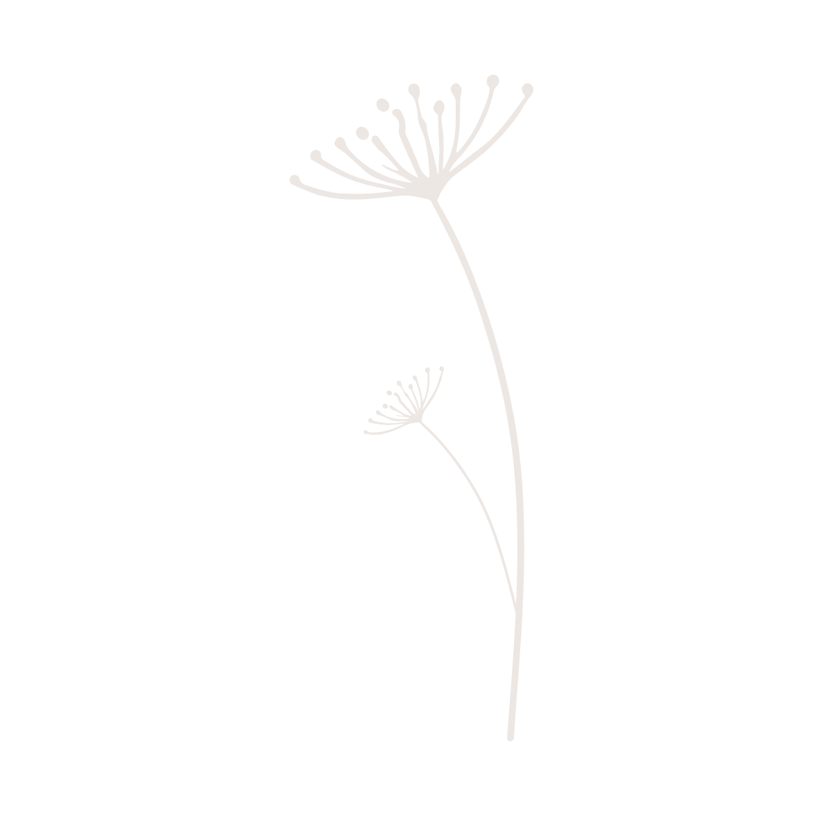 Kelly Horne school of Massage & Aromatherapy Logo - Massage courses & classes