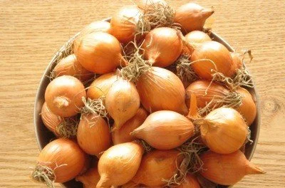 Cebola Assar - Portugal - Bio - per kg