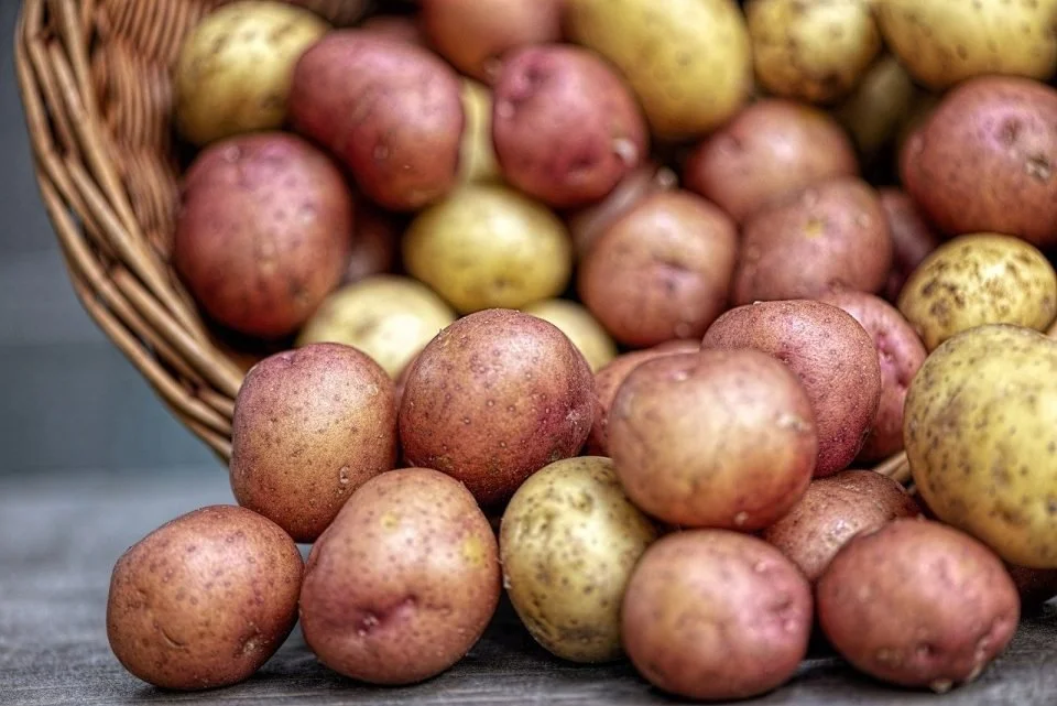Batata Assar - Portugal - Bio - per kg