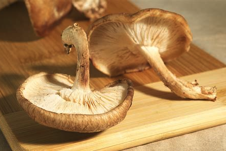 Cogumelos shitake - Portugal - Bio - per kg