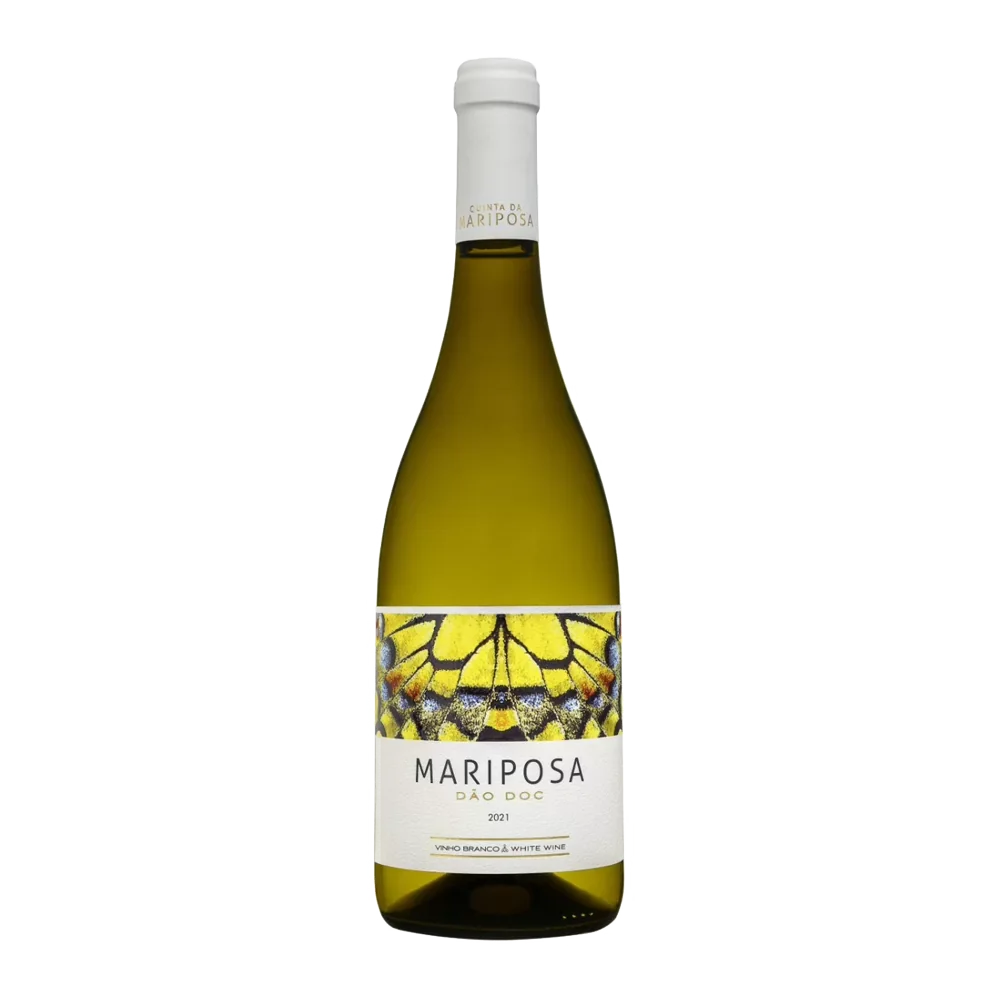 mariposa-branco-2021.webp