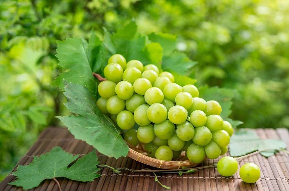 Uva Branca - Portugal - Bio - per kg