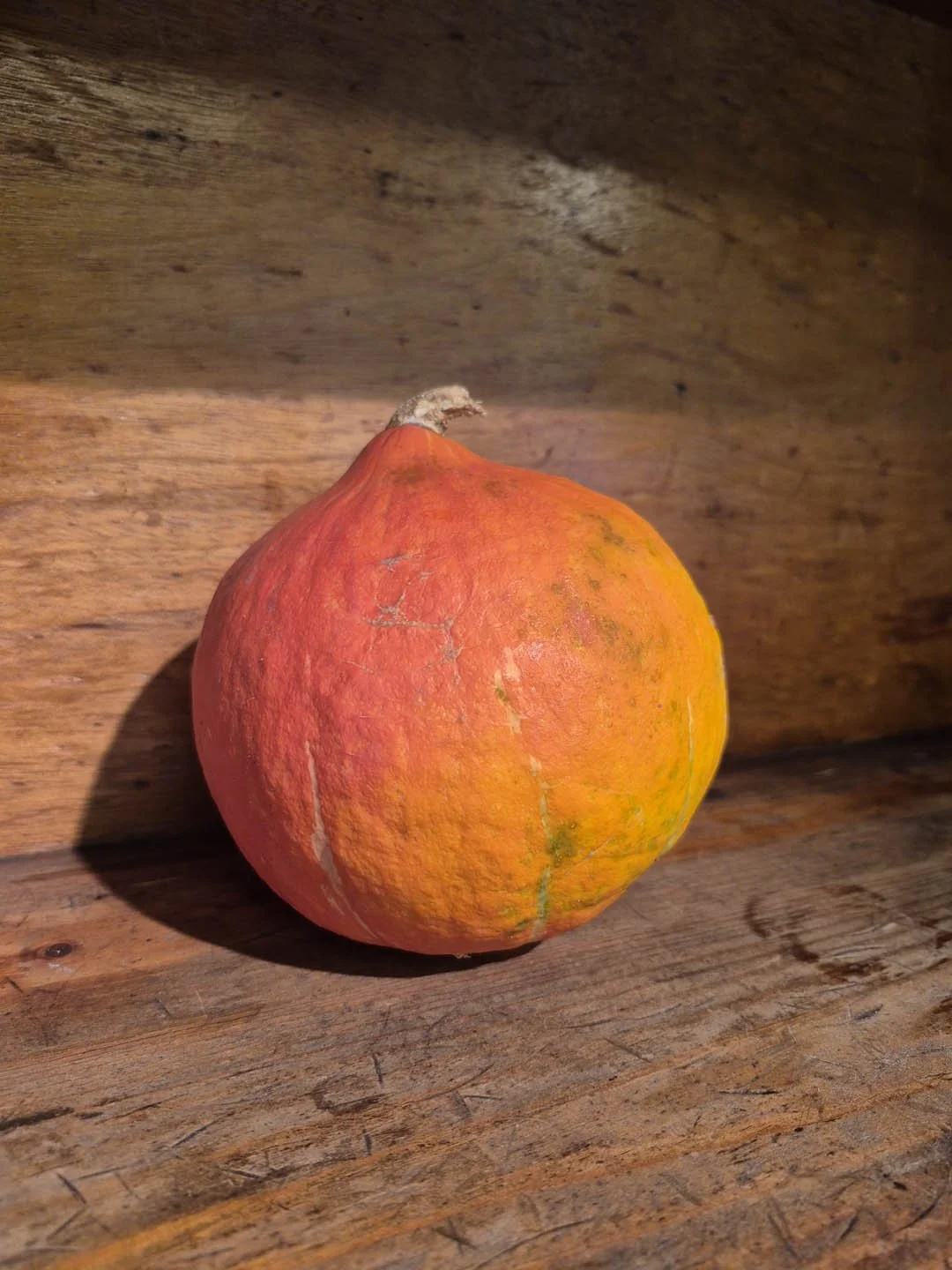 Abobora Hokkaido - Bio - per kg