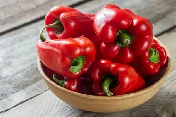 Pimento Vermelho - Portugal - Bio - per kg