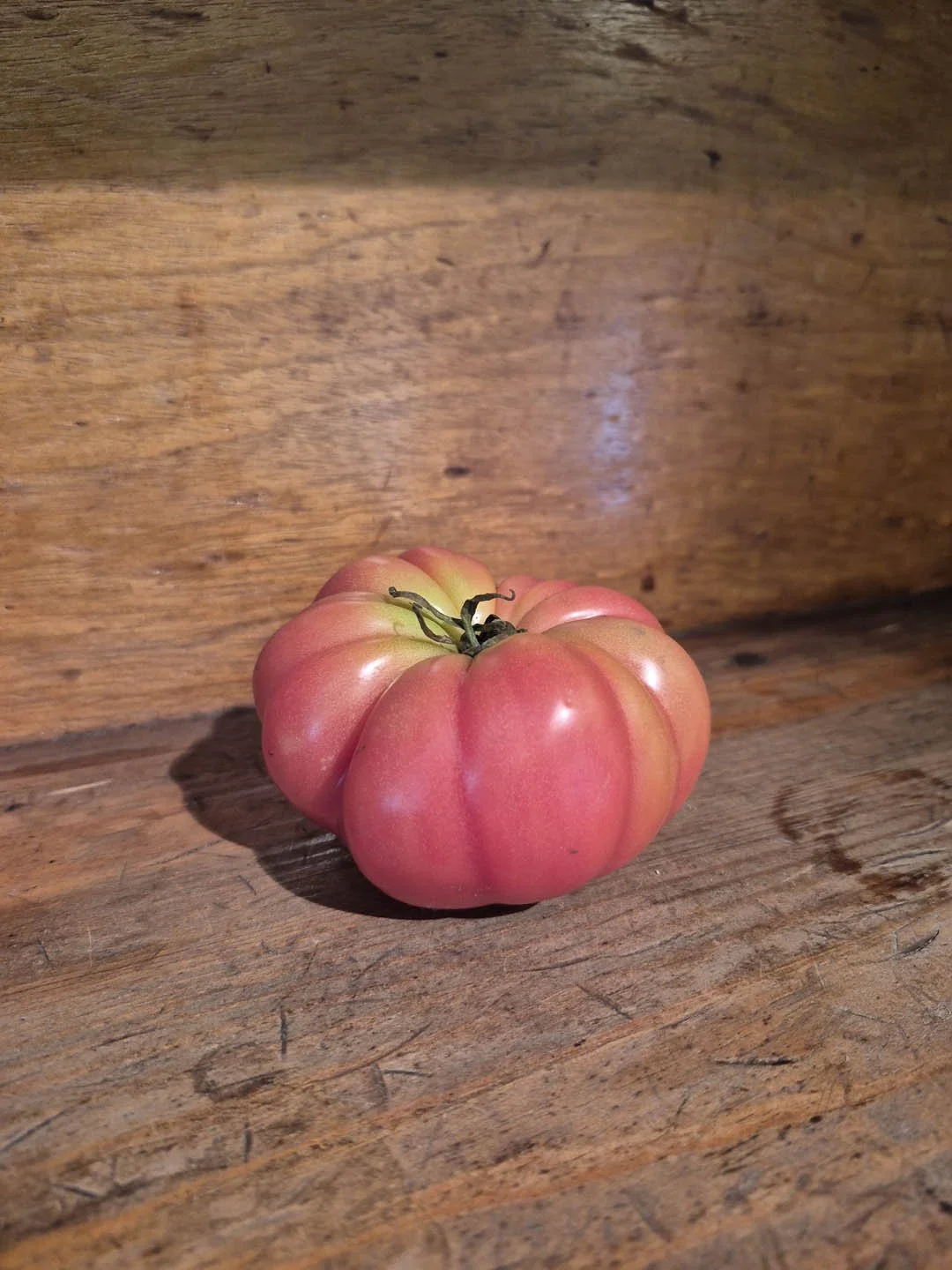 Tomate  Coração de Boi - Portugal - bulk