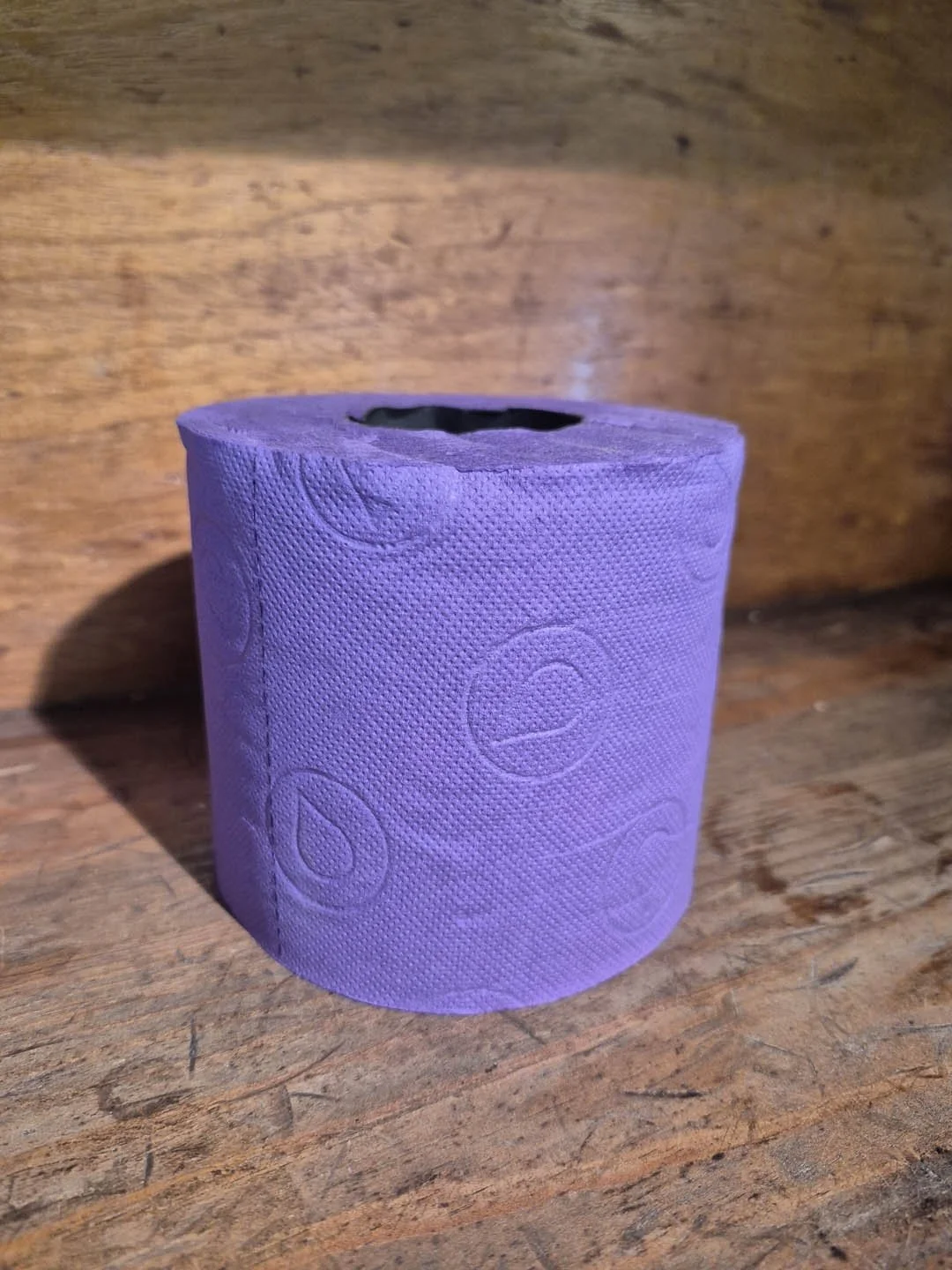 Renova / Papel Higiénico - Purple/Púrpura - 1 rolo