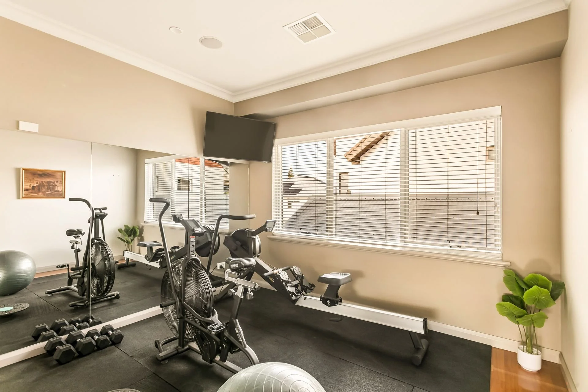 Home gym with exercise bikes, a rowing machine, free weights, stability balls, large window with blinds, a wall mirror, and a potted plant in the corner.