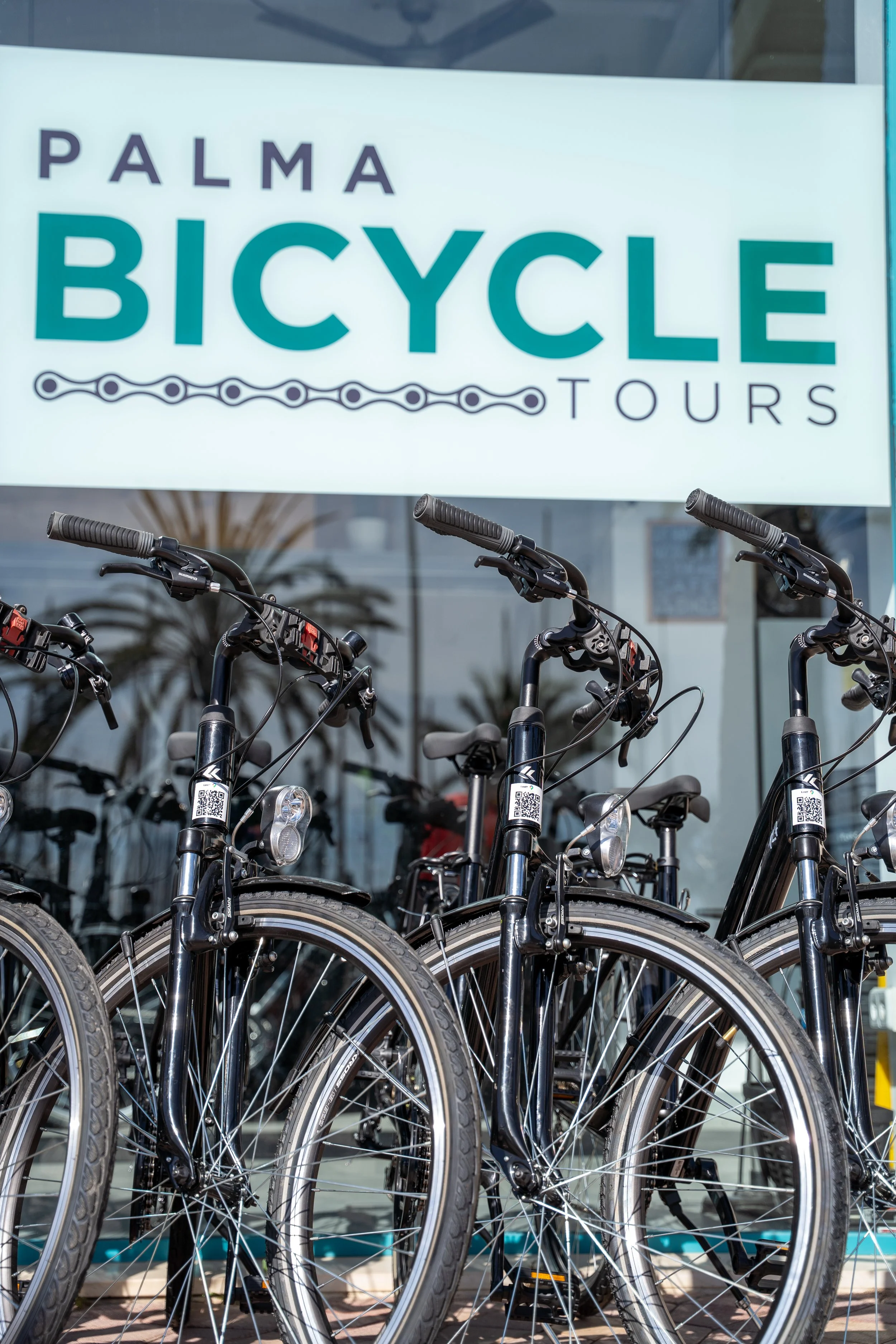 Palma de Mallorca ontdekken met een fietstour + de mooiste fotografieplekken