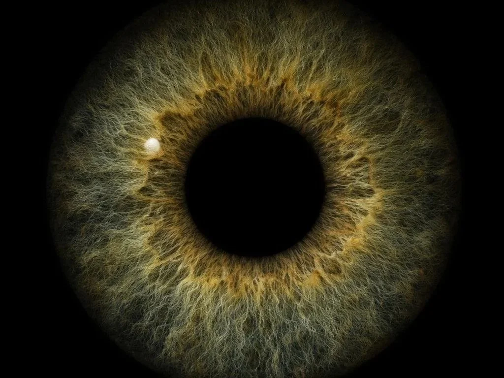 Erst ganz weit auf - dann bewusst zu