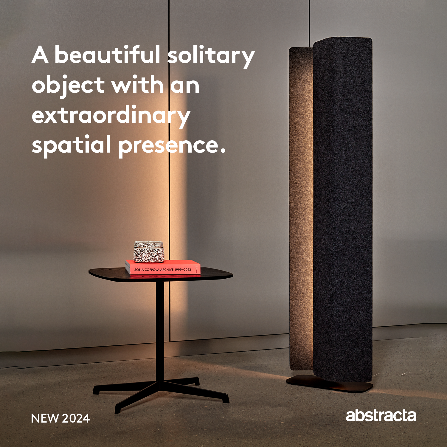 Vika Introduction - 4.png