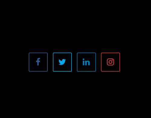 Social Media Packages