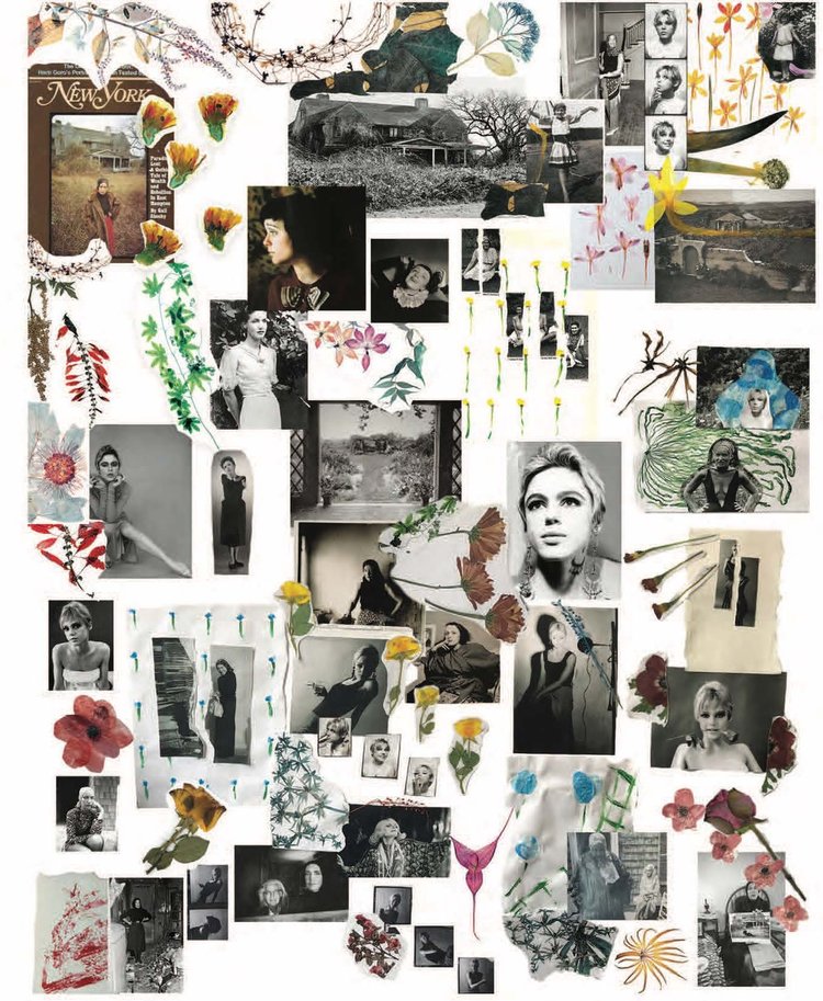 Grey Gardens, Fall 2018