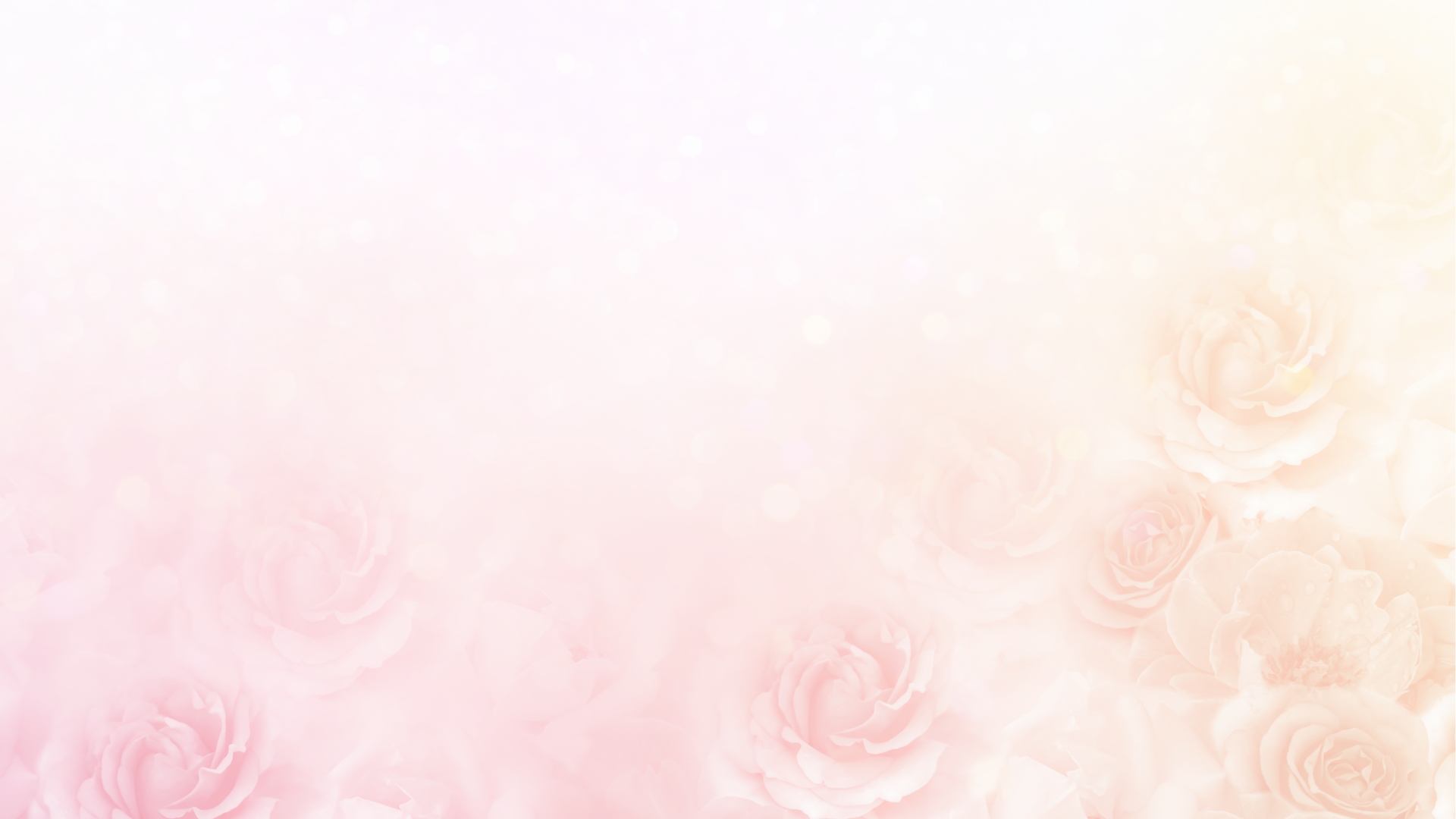 Soft pastel pink and cream roses with a light bokeh background.