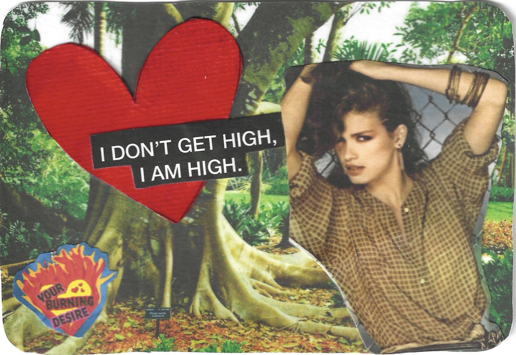 I DONT GET HIGH I AM HIGH GIA CHECKED.png