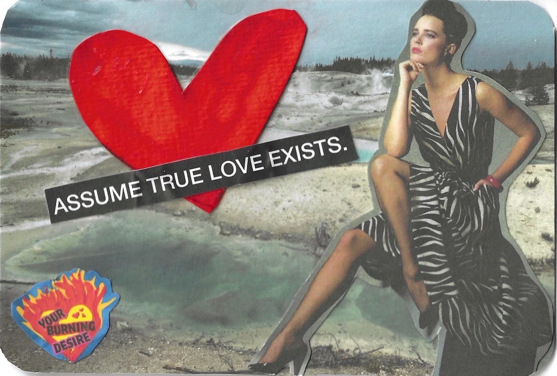 ASSUME TRUE LOVE EXISTS ZEBRA GOWN.jpeg