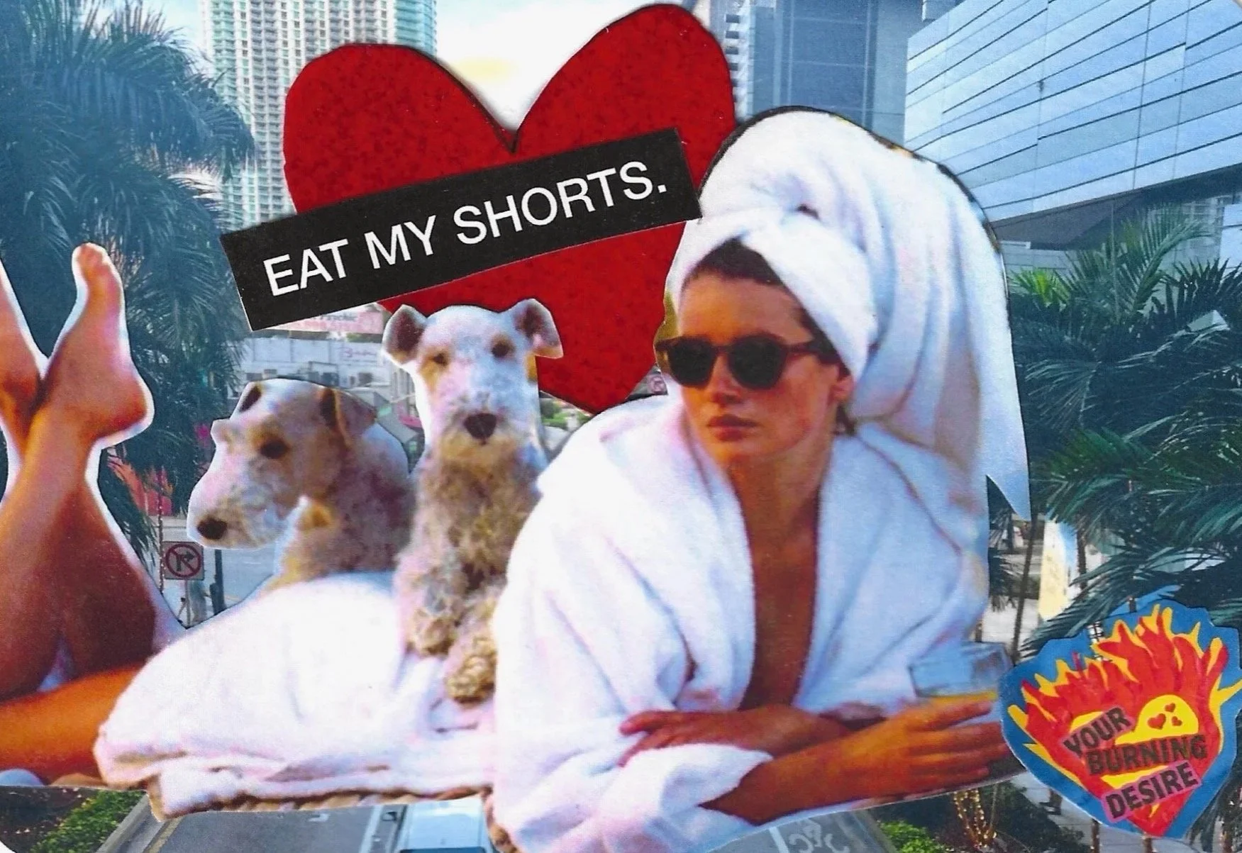 EAT MY SHORTS.jpg