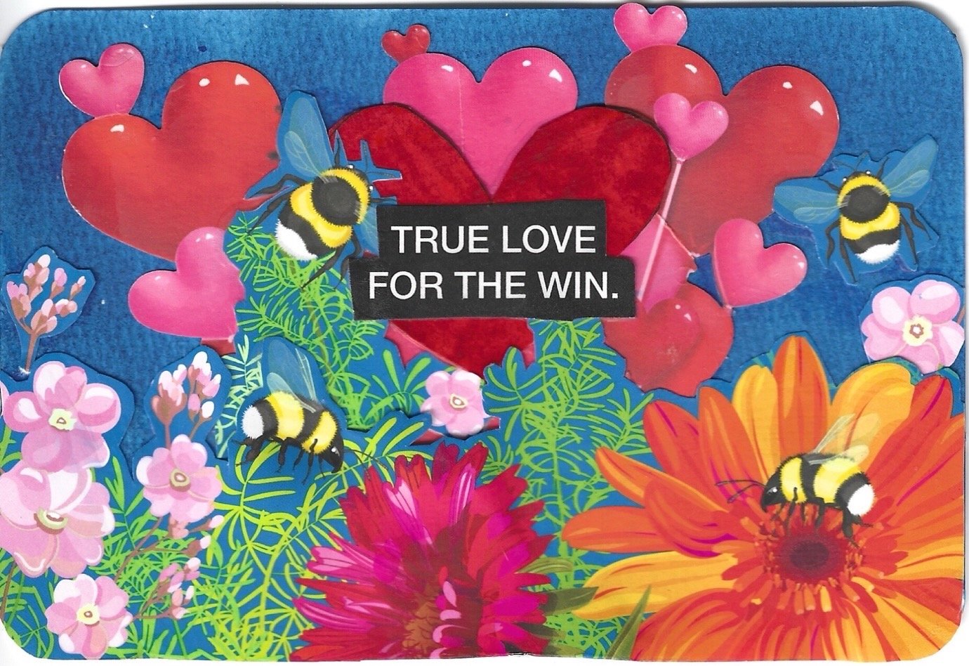 TRUE LOVE FOR THE WIN.