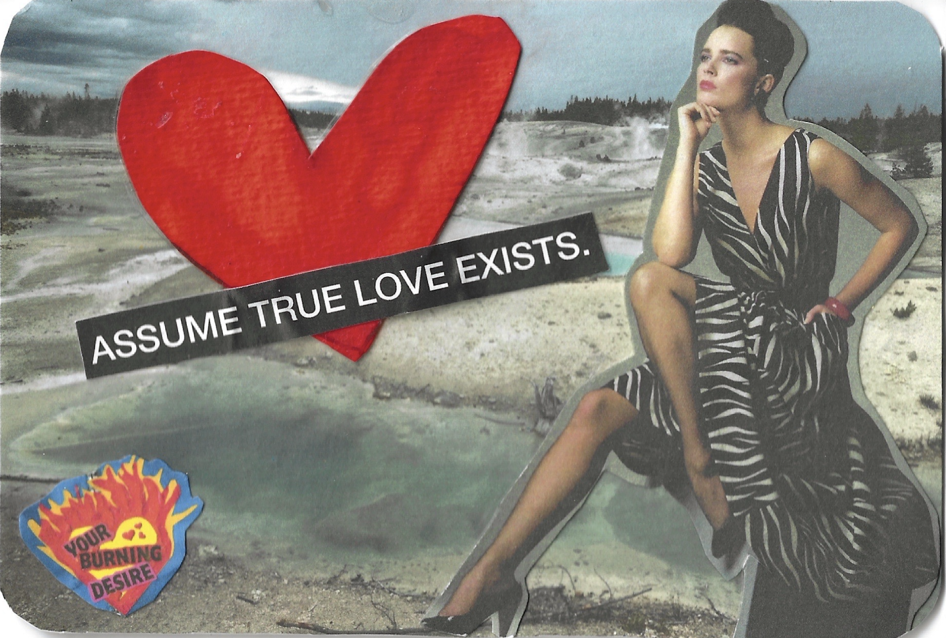 ASSUME TRUE LOVE EXISTS ZEBRA GOWN.png