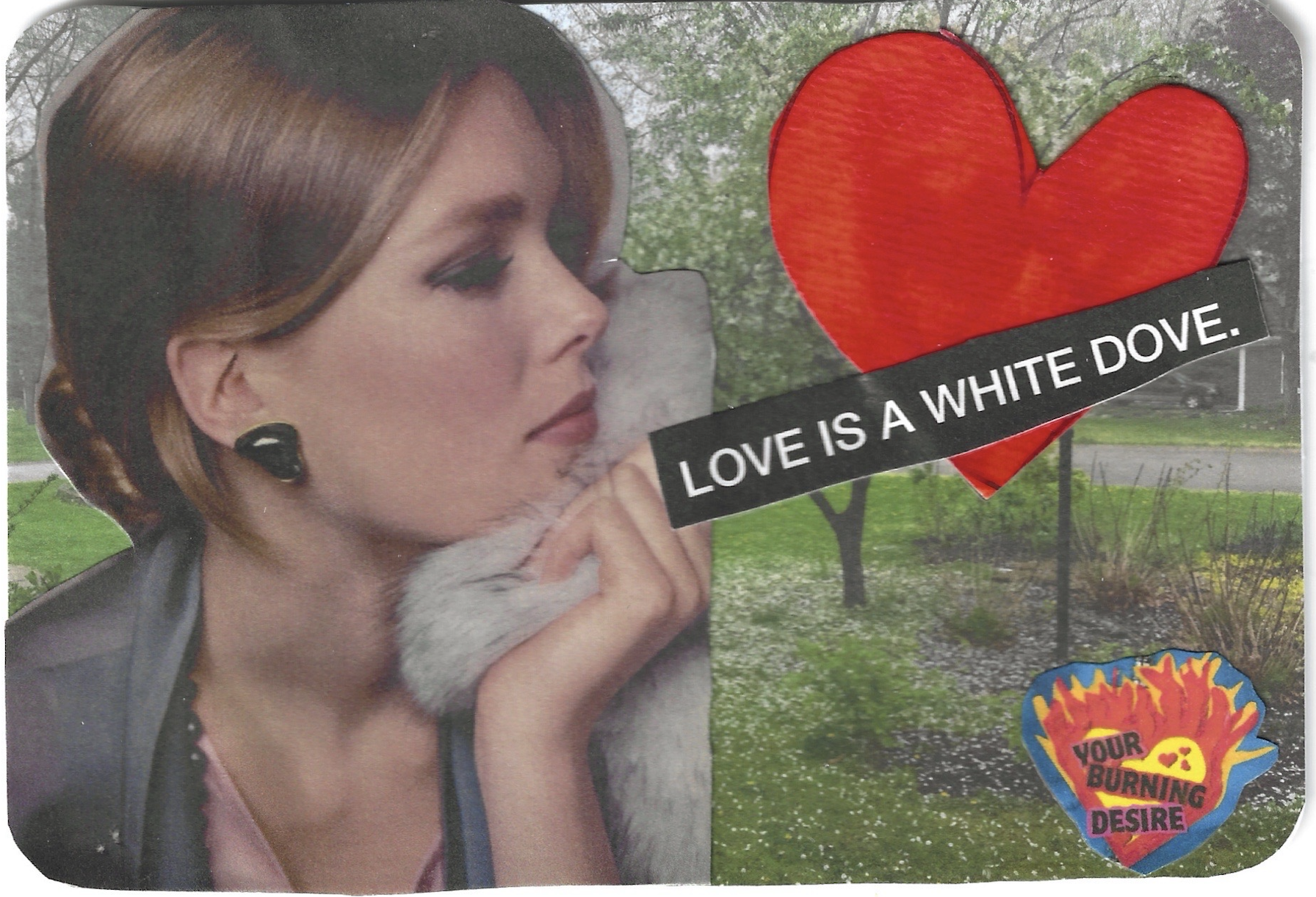 LOVE IS A WHITE DOVE NANCY DONAHUE.png