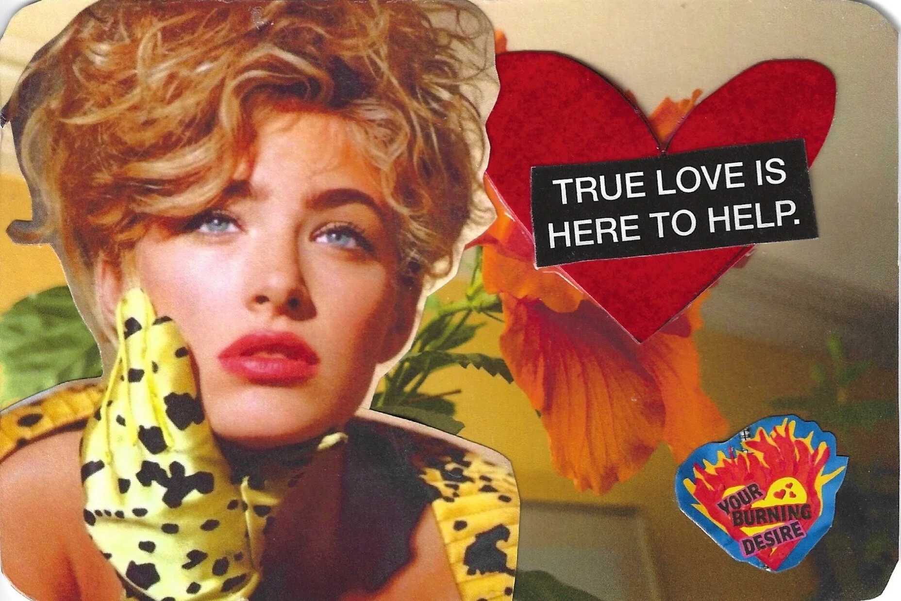 TRUE LOVE IS HERE TO HELP ELAINE IRWIN.jpeg