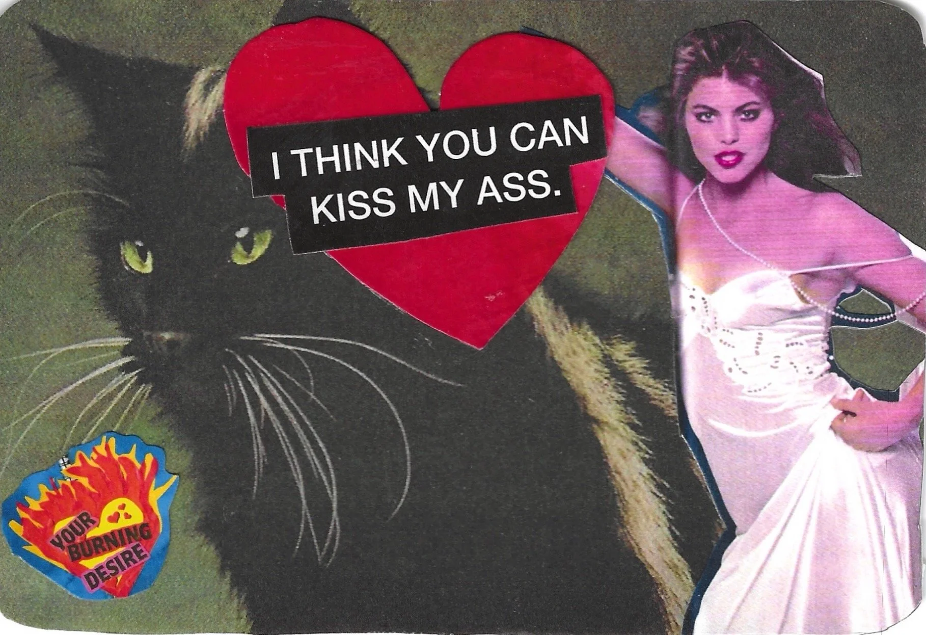 I THINK YOU CAN KISS MY ASS.jpeg