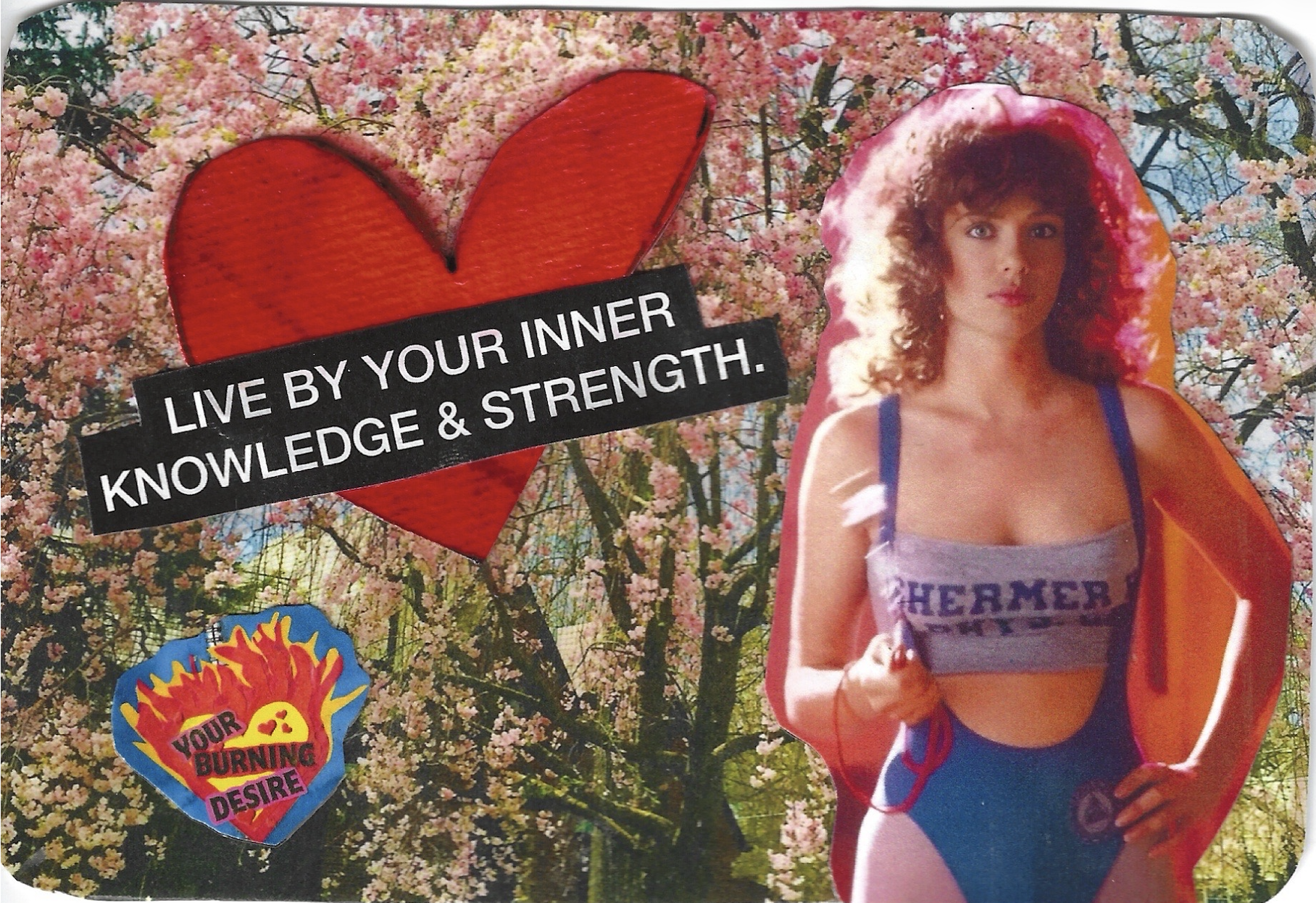 LIVE BY YOUR INNER KNOWLEDGE & STRENGTH.png