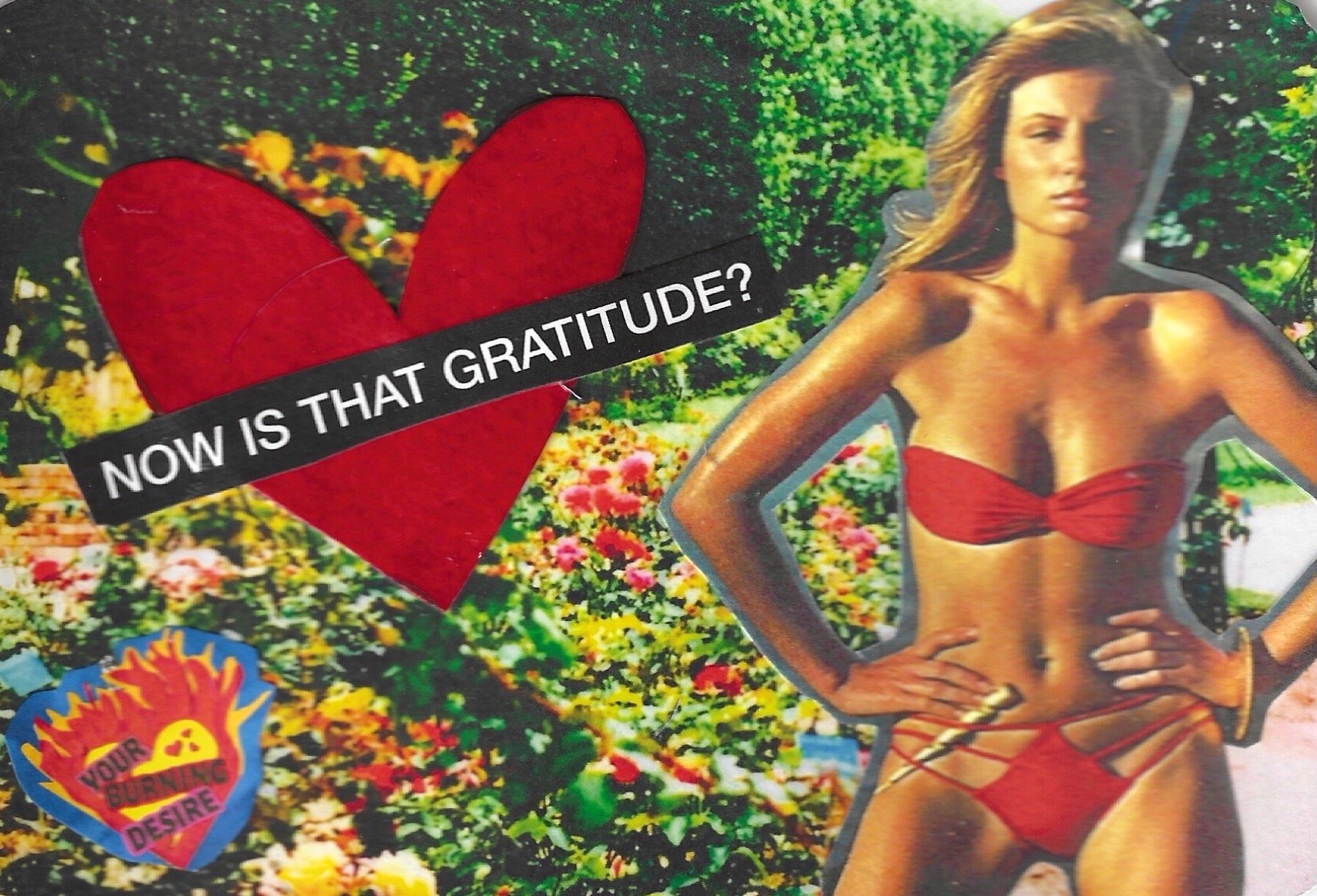 NOW IS THAT GRATITUDE.jpeg