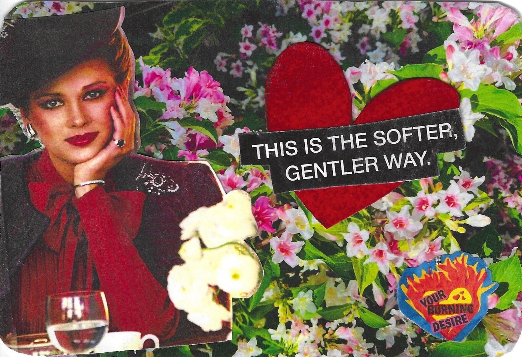 THIS IS THE SOFTER GENTLER WAY SHAUN CASEY.jpeg